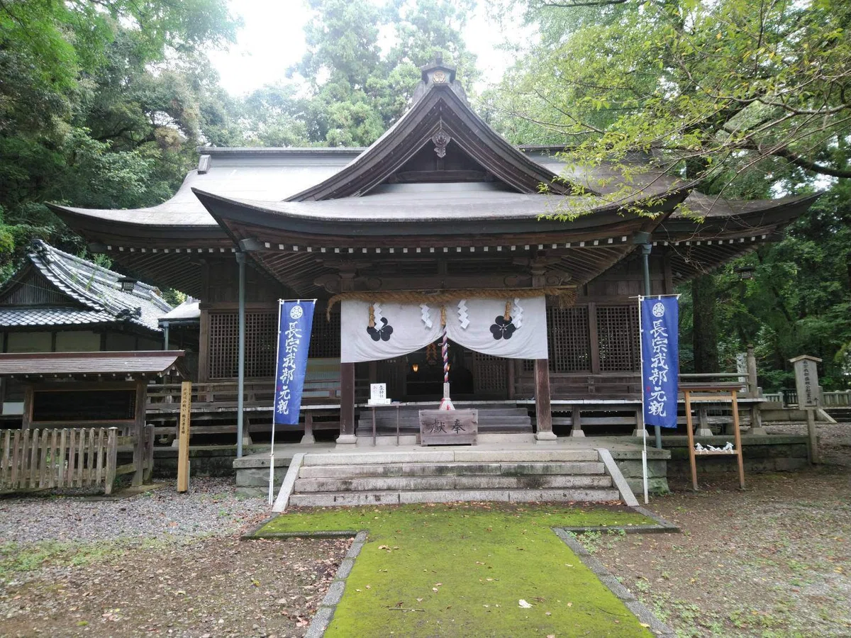画像