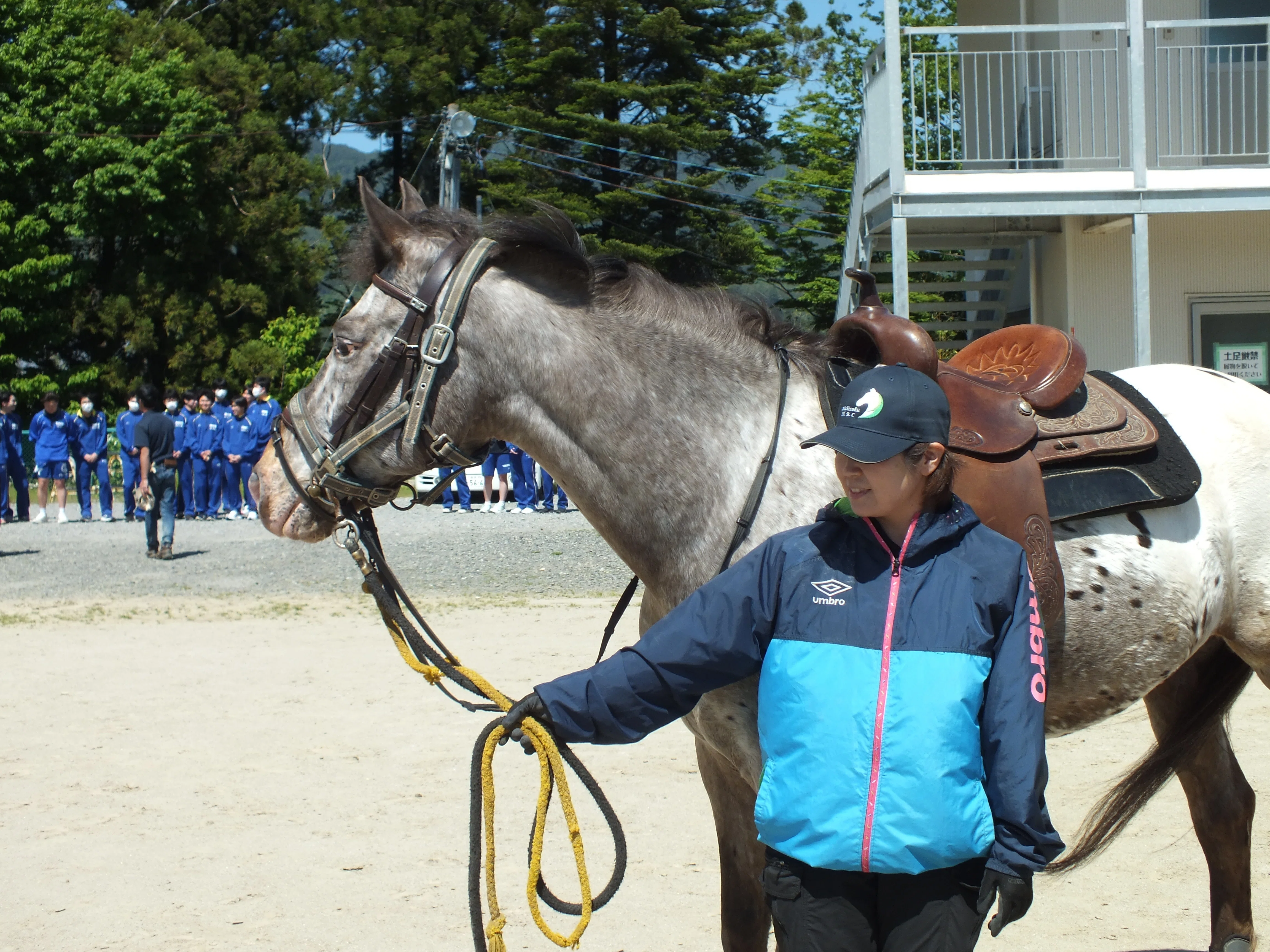 高田高校に馬がやってきた！｜岩手県立高田高等学校