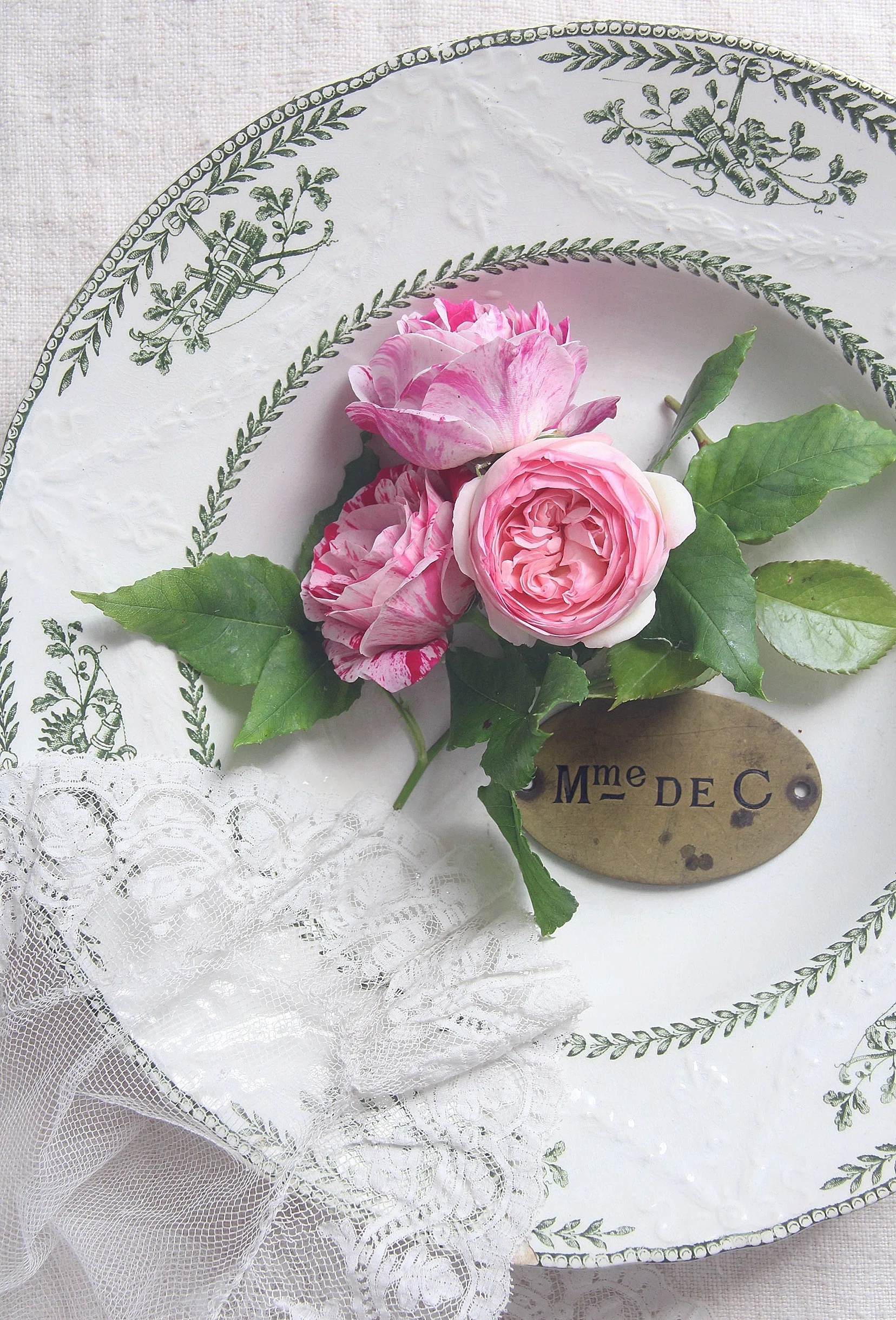 画家の薔薇｜アンヴァンテール｜私のフランス手帖