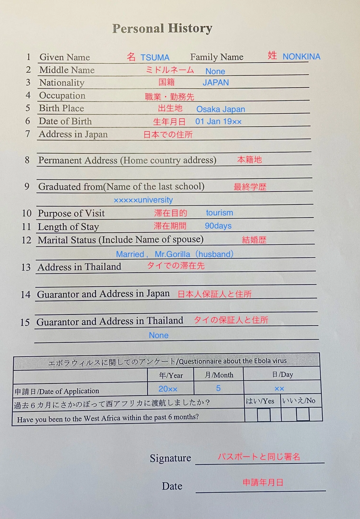 ビザ手続きのこと,その1｜浅漬けダイナソー
