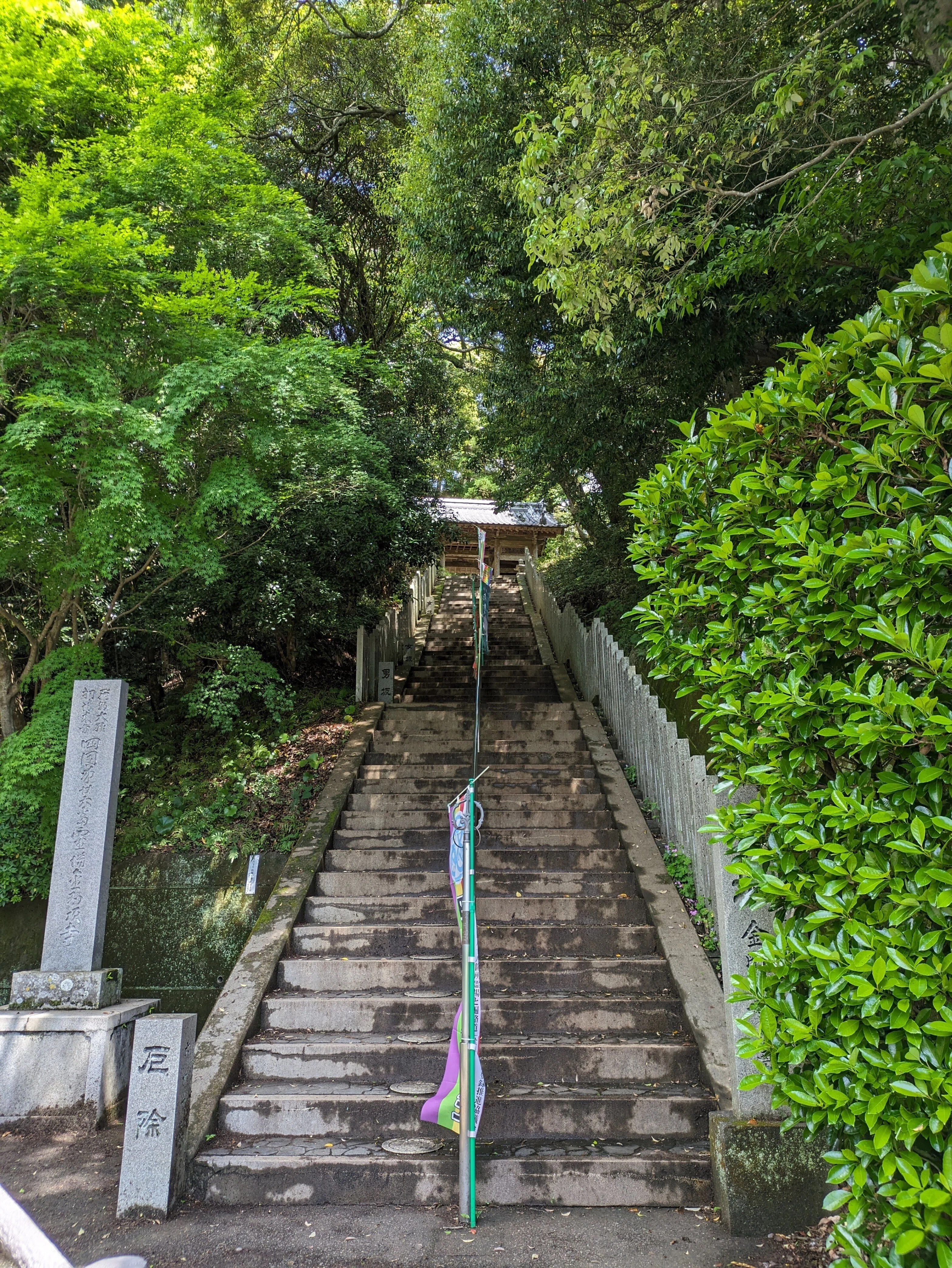 週末お遍路さん(25)：25回目は、25番津照寺さんから！車って早い