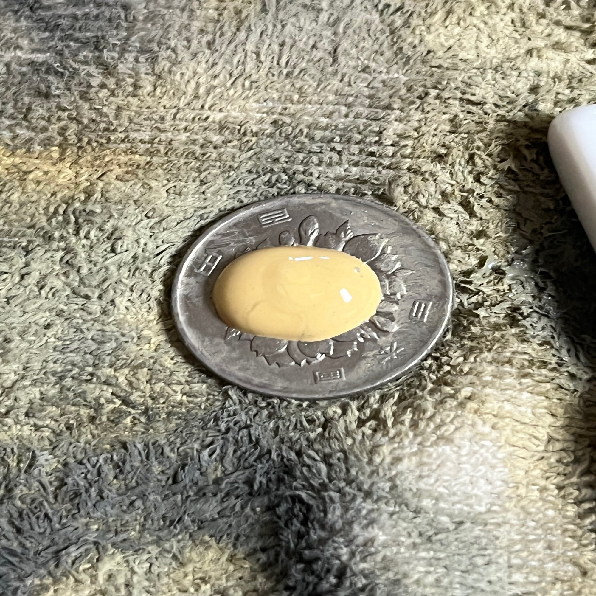 硬貨を綺麗に磨いたはなし｜watariko