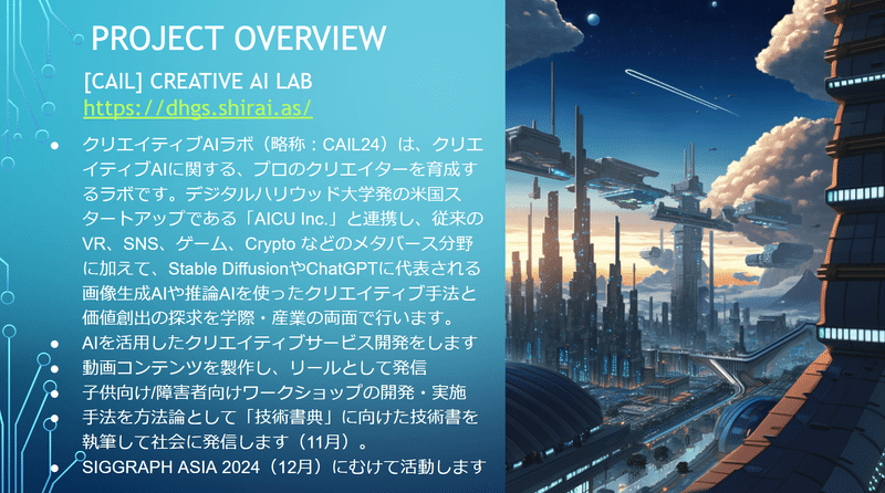 CAIL24-project-overview