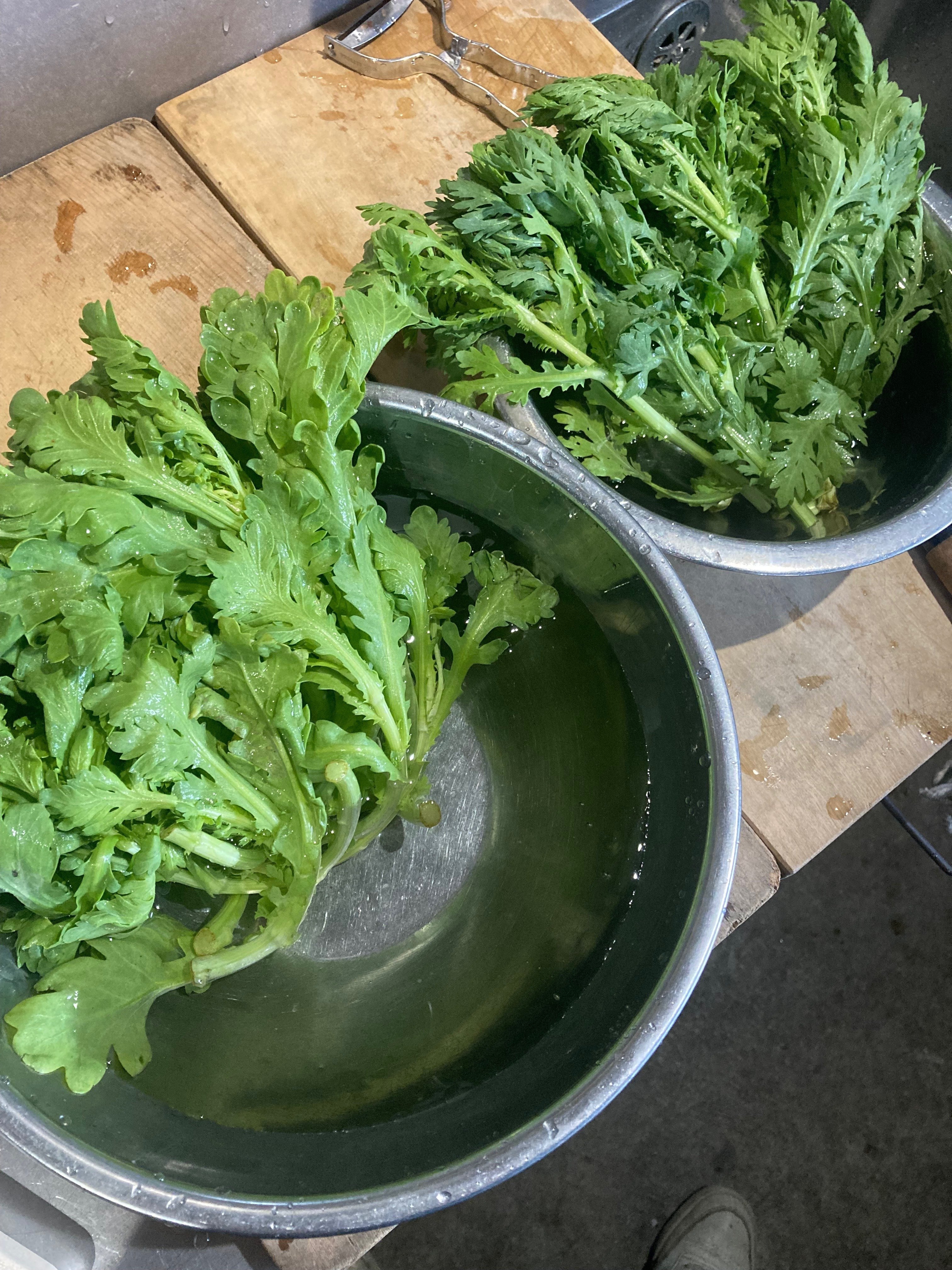 茹でた葉物を水に晒すか、晒さないか。｜やさいとせかい めぐる八百屋