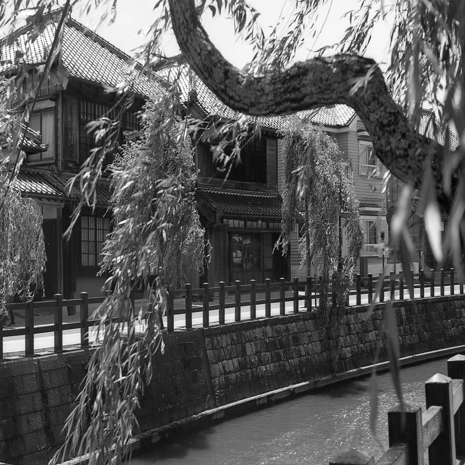 ASAHI PENTAX SPFで撮ってみた【作例あり】：フィルムカメラであそぼう