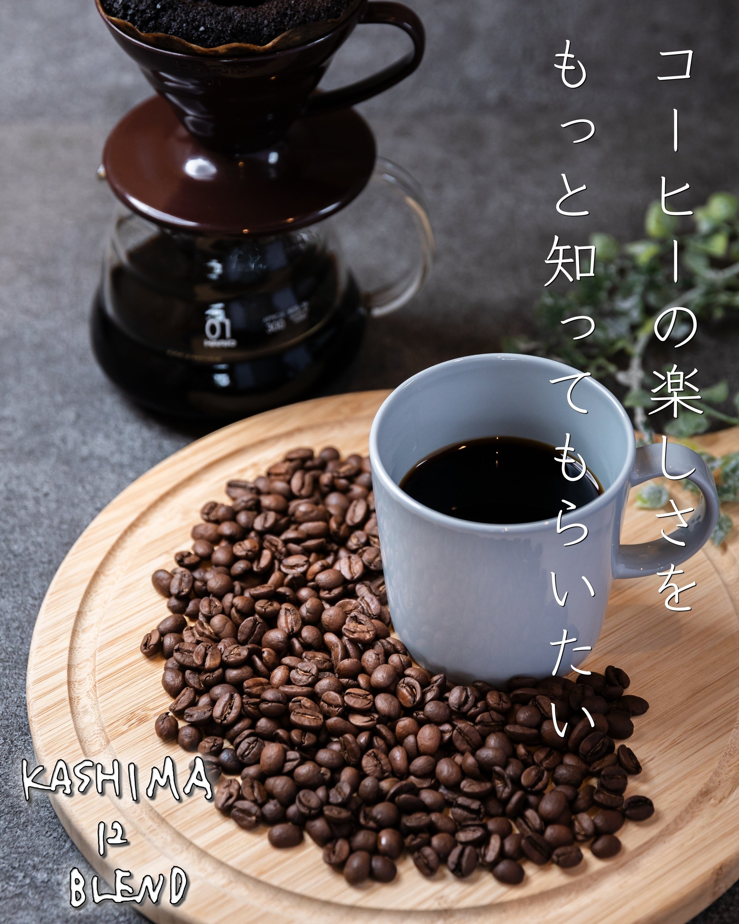 ふるさと納税 鹿嶋市 KASHIMA12 飲み比べセット コーヒー豆 計1kg(各回500g)粉 全2回 ふるさと納税 鹿嶋市 「挽」4種飲み比べ・スペシャルティの酸を楽しむ