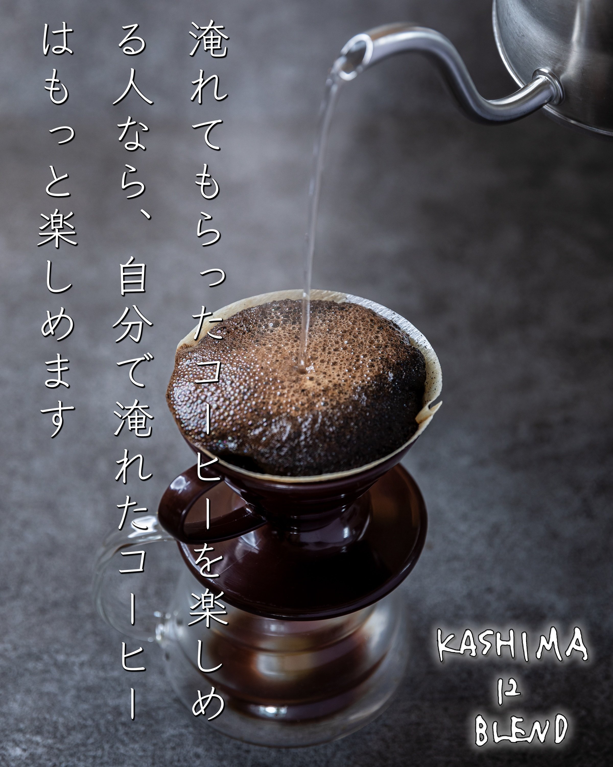 ふるさと納税 鹿嶋市 KASHIMA12 飲み比べセット コーヒー豆 計1kg(各回500g)粉 全2回 ふるさと納税 鹿嶋市 「挽」4種飲み比べ・スペシャルティの酸を楽しむ