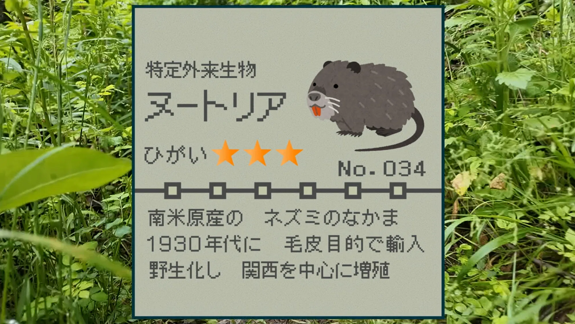 生息域拡大!水辺の巨大ネズミ~大阪府~|J:COM地域取材ノート 生息域拡大!水辺の巨大ネズミ~大阪府~|J:COM地域取材ノート
