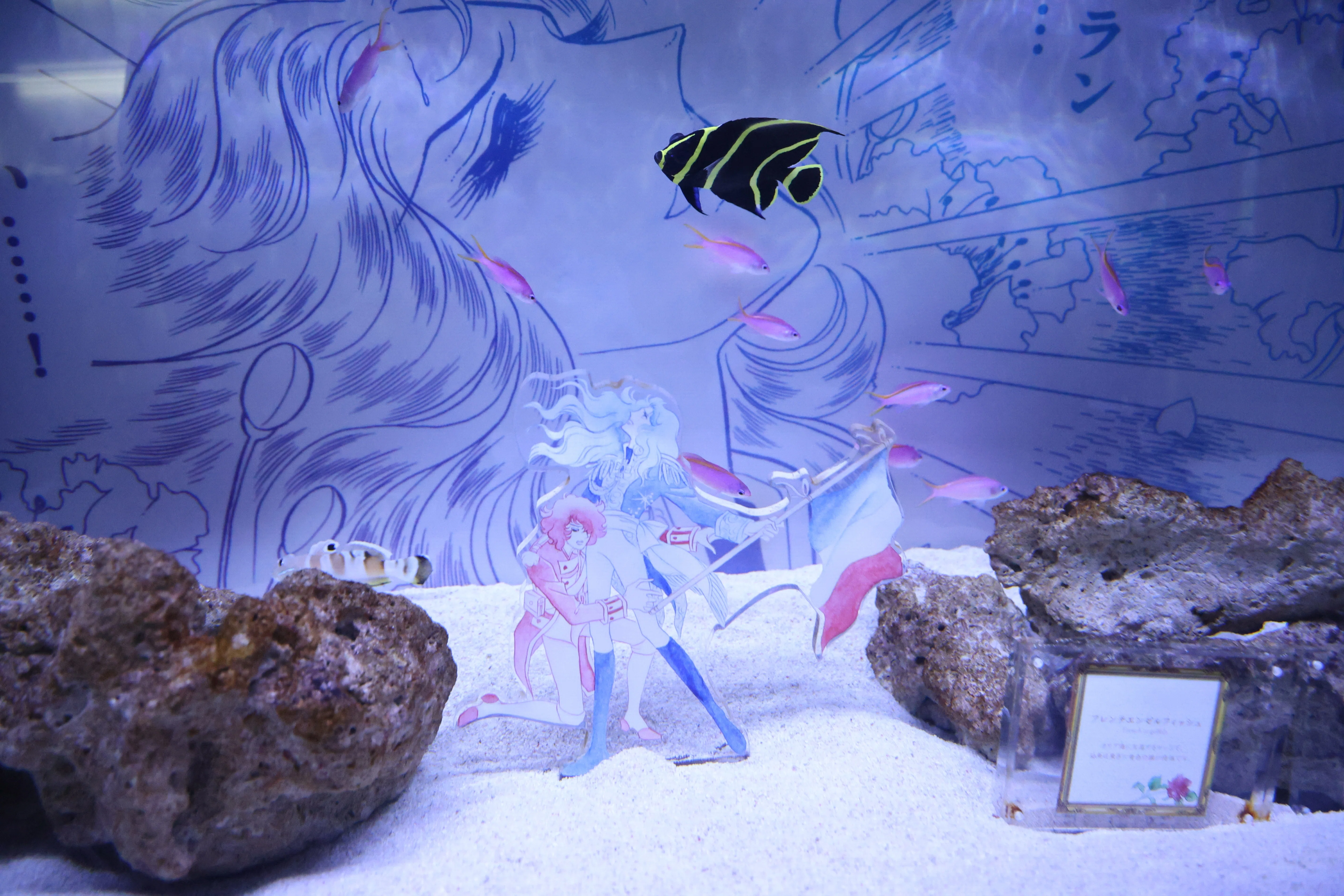 東京水族館巡り(すみだ水族館、アクアパーク品川)｜氷月