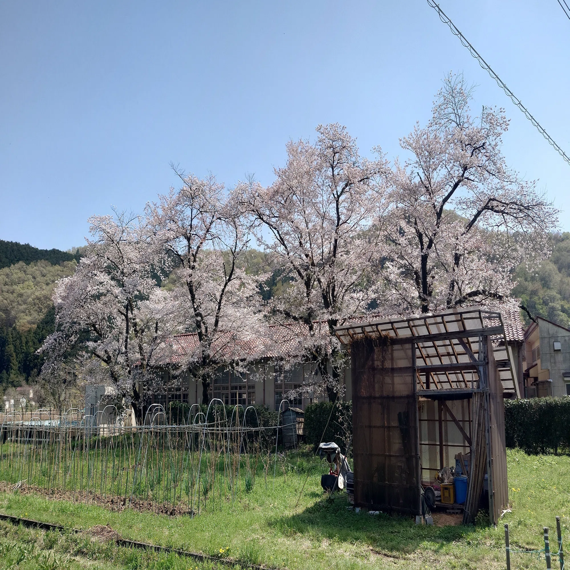 のんのん びより 聖地