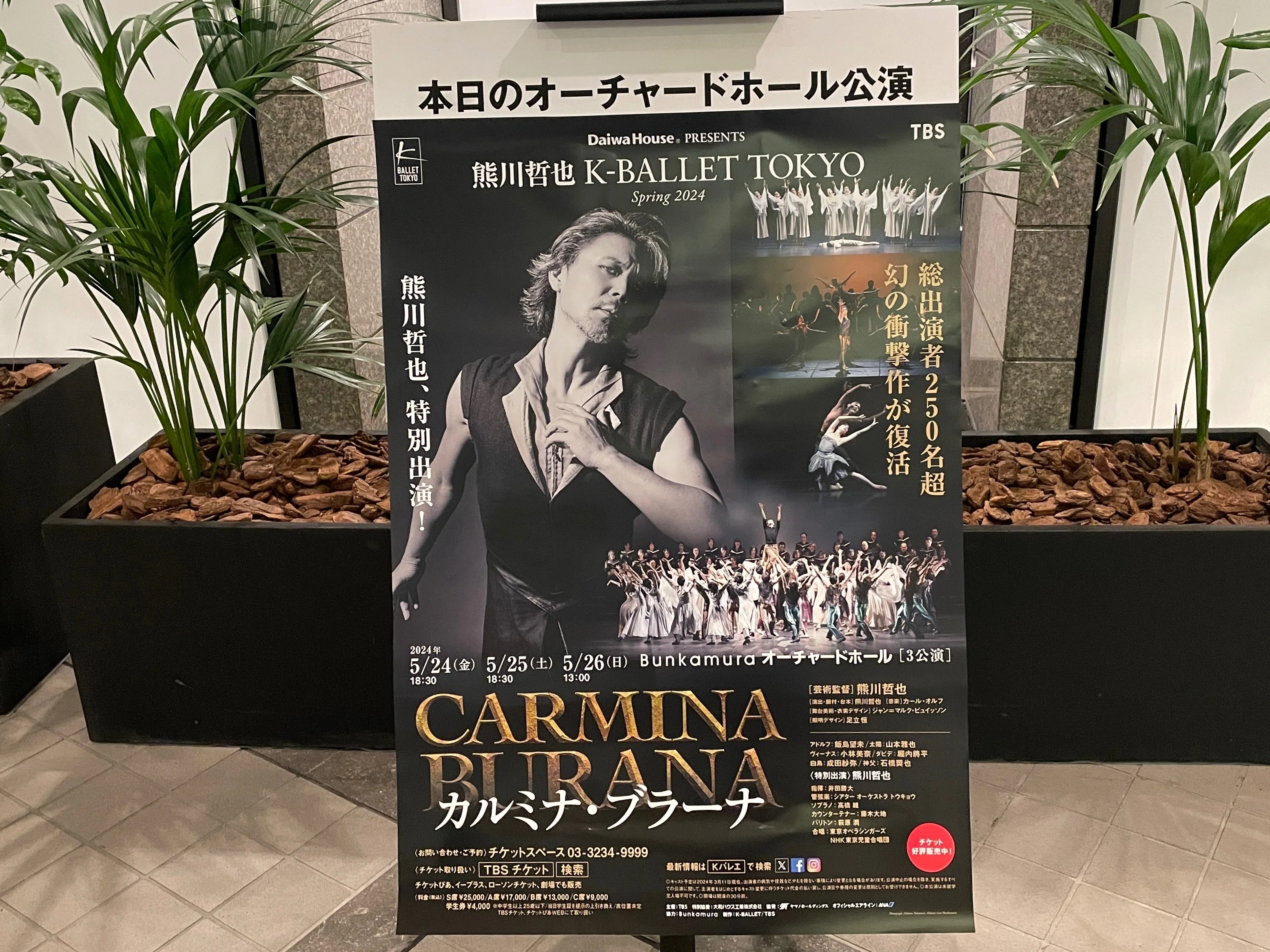 バレエ感想「カルミナ・ブラーナ」K-BALLET TOKYO|バレエファン バレエ感想「カルミナ・ブラーナ」K-BALLET TOKYO|バレエファン