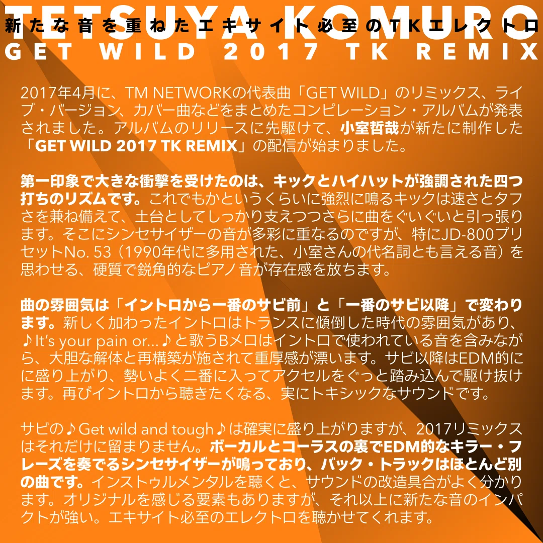 globe Get Wild TK Remix 未開封品 非売品 globe Get Wild TK Remix 未開封品 非売品 globe Get Wild TK Remix 未