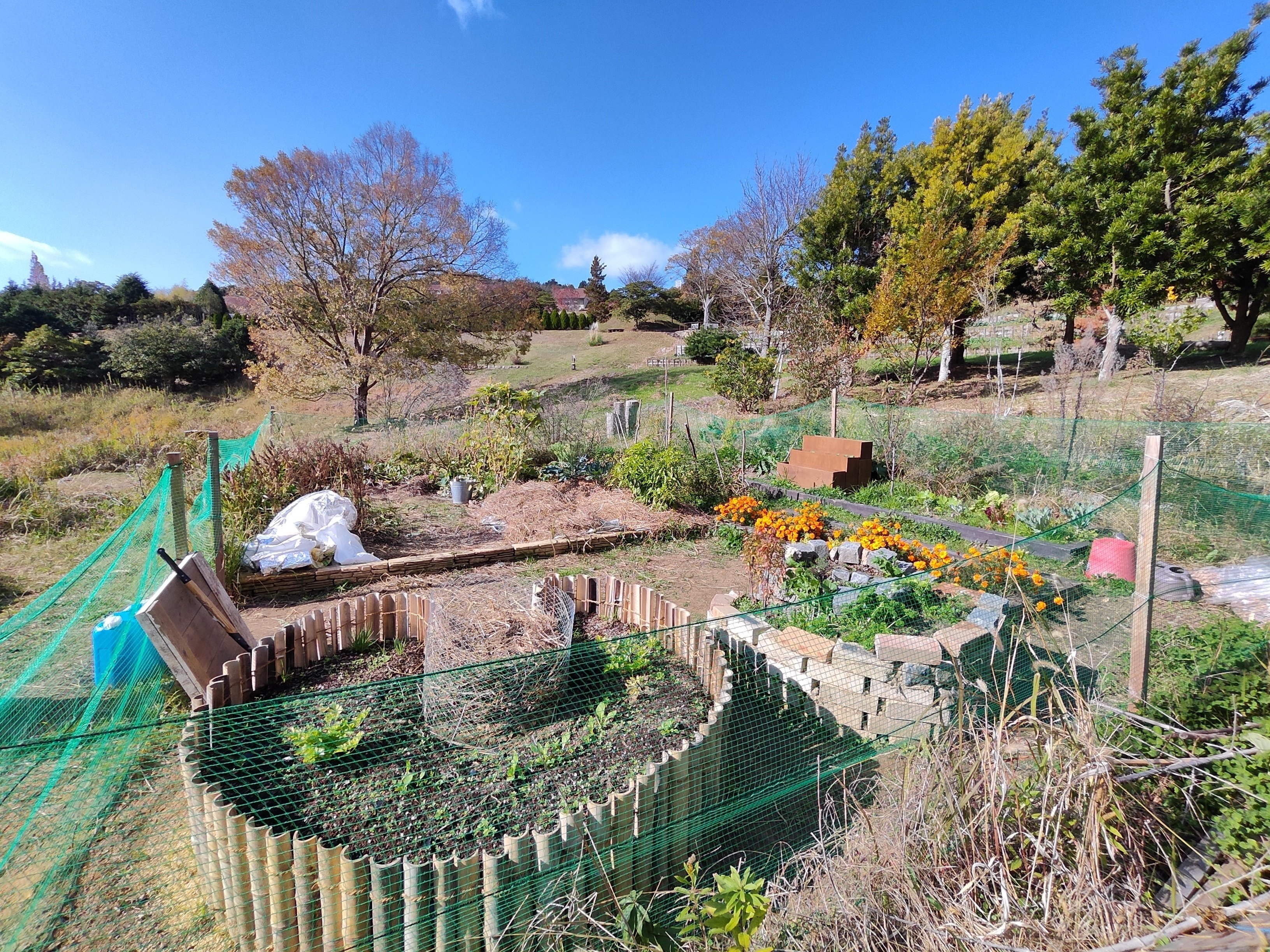 Forest gardening パーマカルチャー関連 【公式通販】