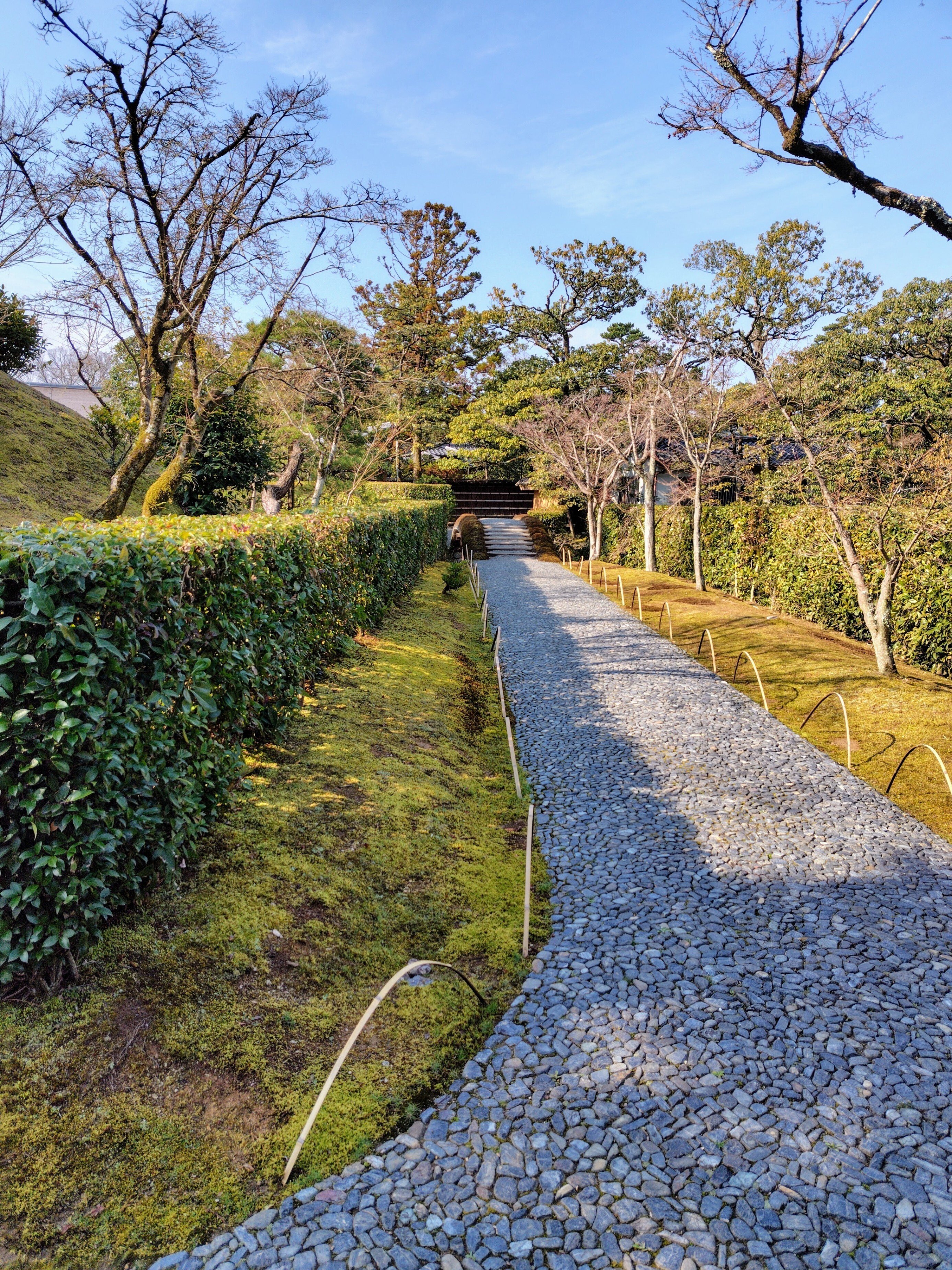 憧れの桂離宮と建仁寺へ行ってきた（京都旅行3日目）｜ふぱ