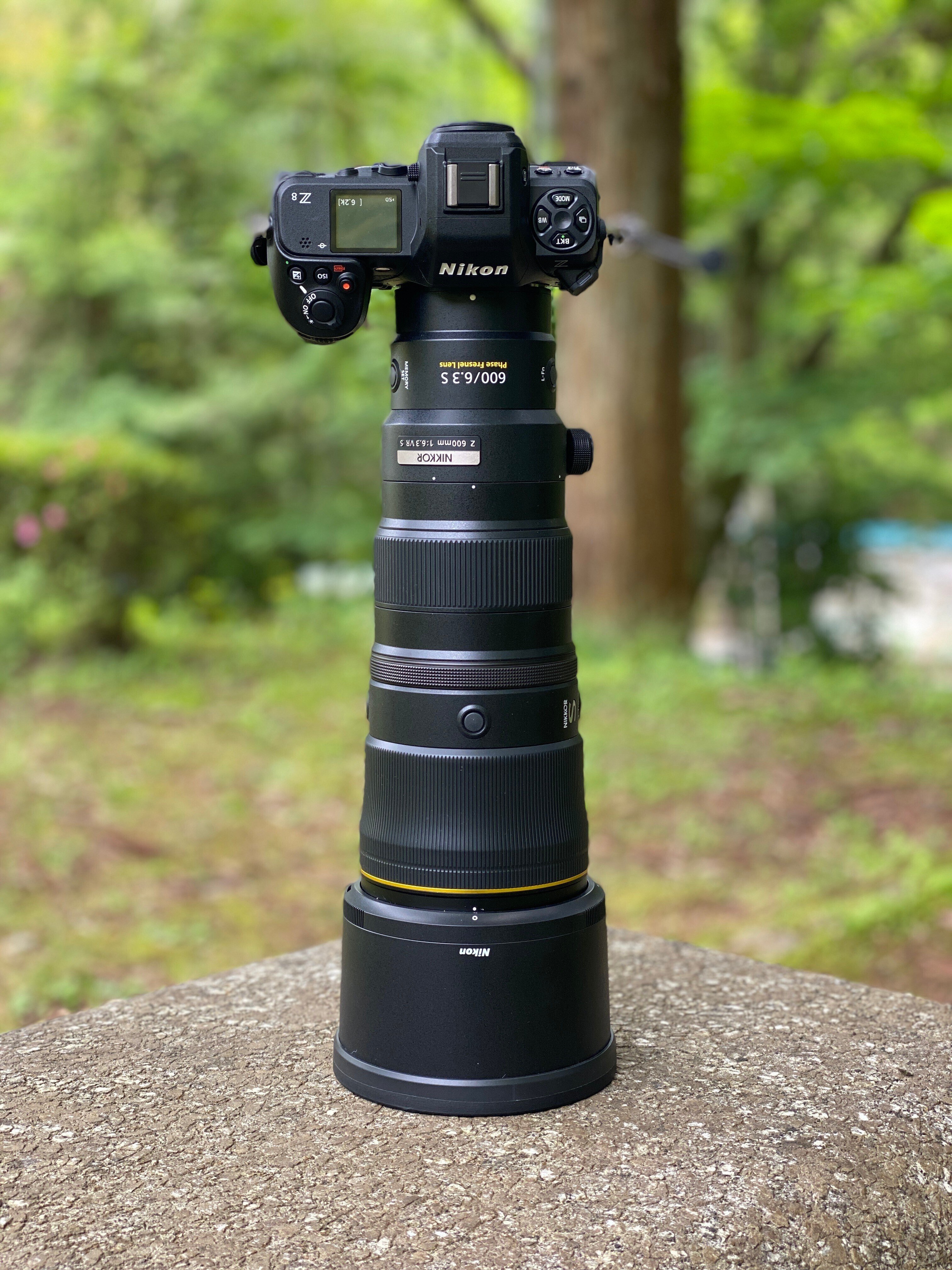 Nikon Z 8 , Z600mm f/6.3 始めました(#1472)｜RURI