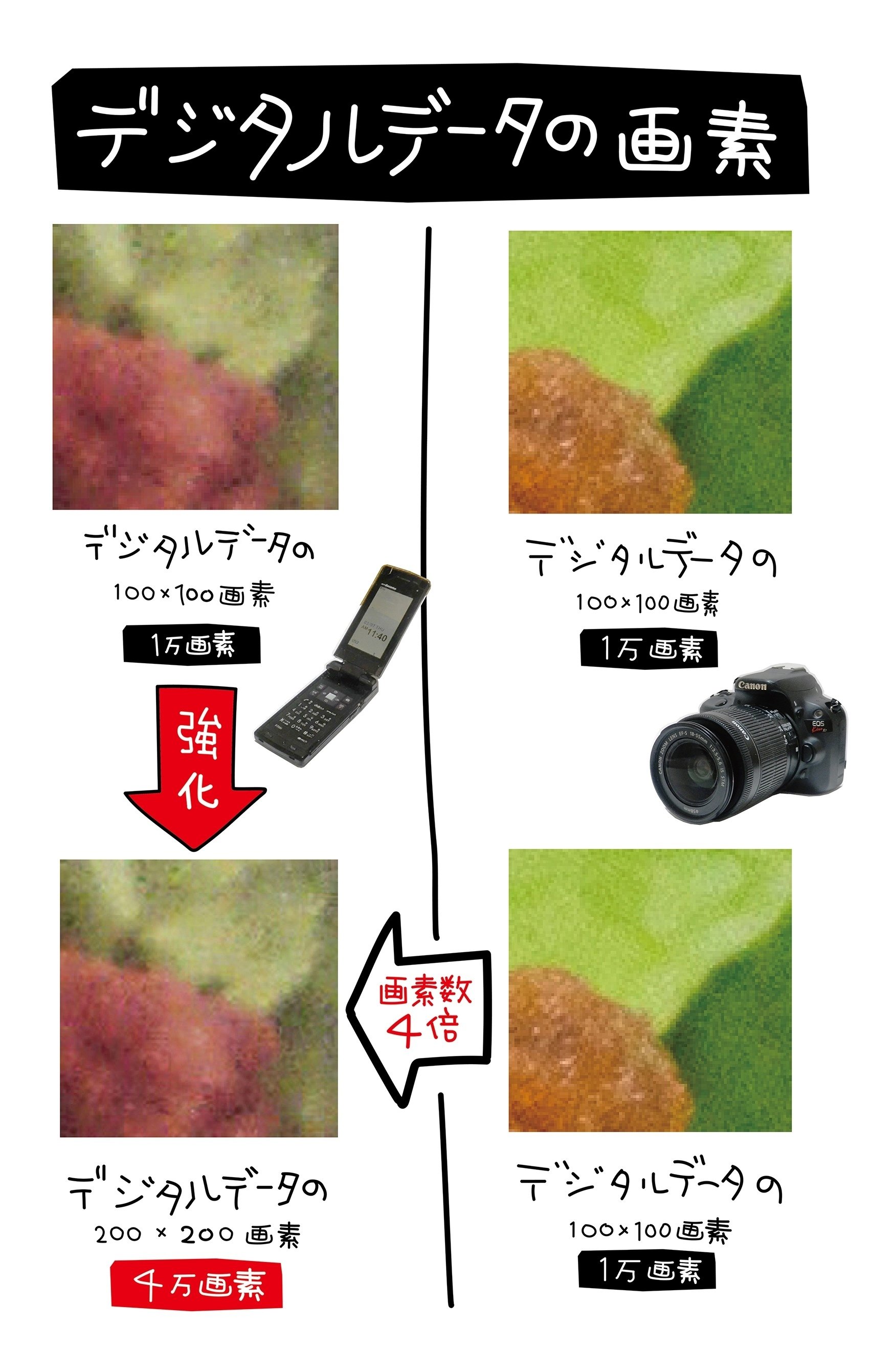 解像度を上げてもボケた写真はボケた写真｜綿谷羊太郎