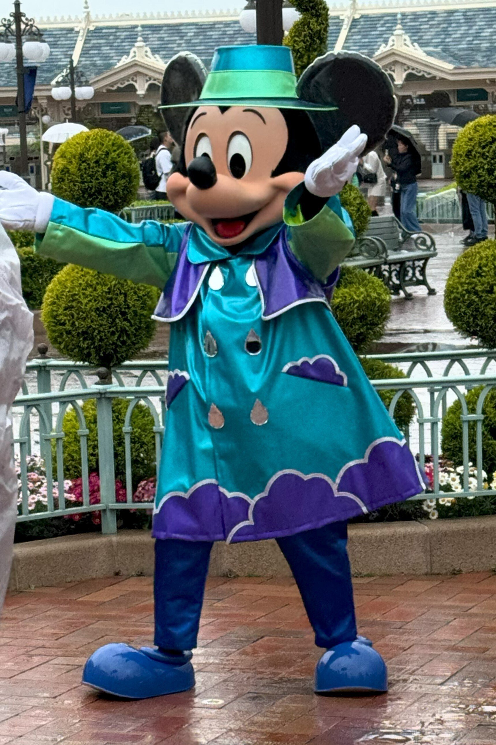 おすすめ雨の東京ディズニーランド｜fukuchan