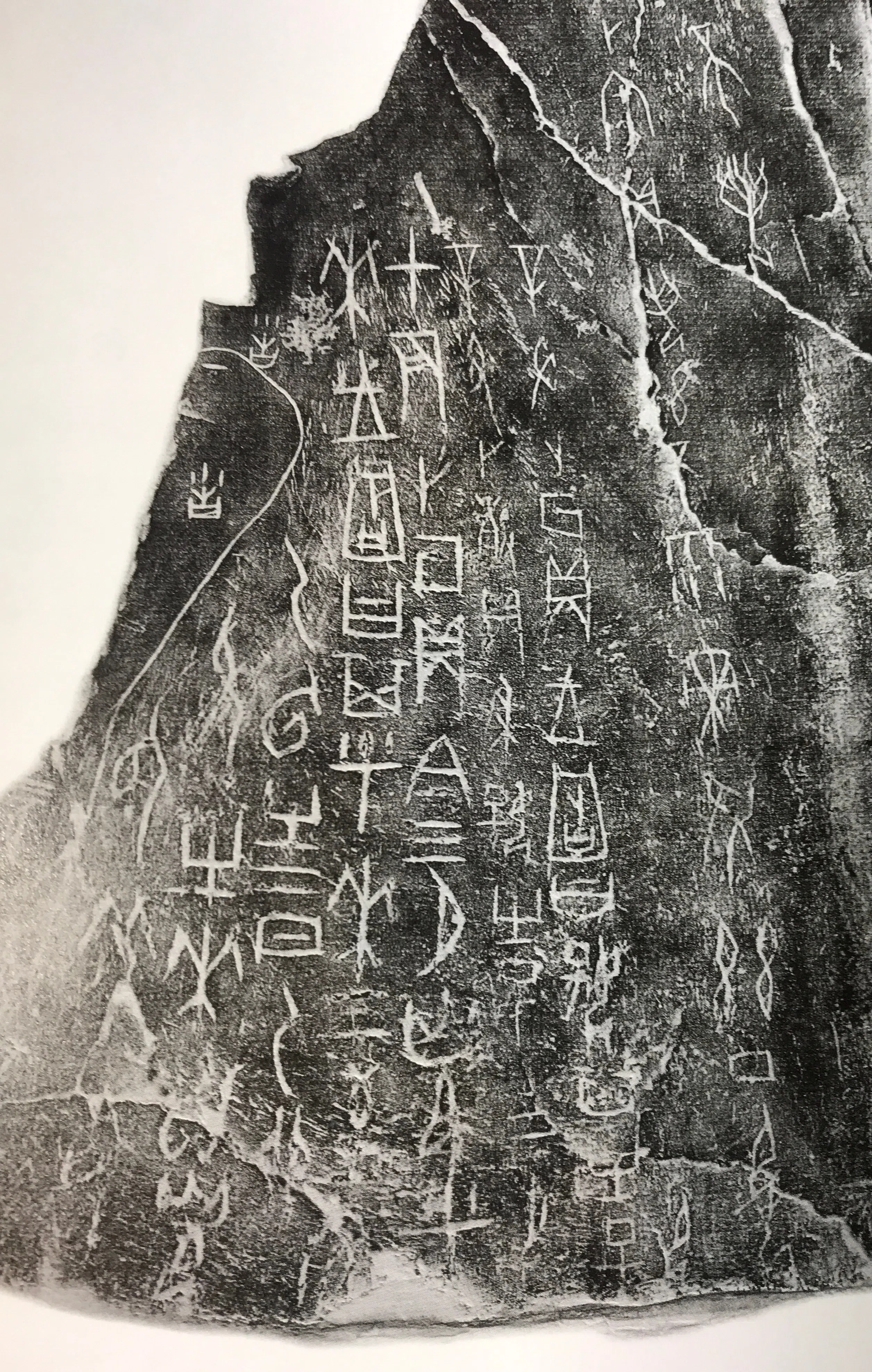 漢字の始まり（甲骨文）｜上條雅峰