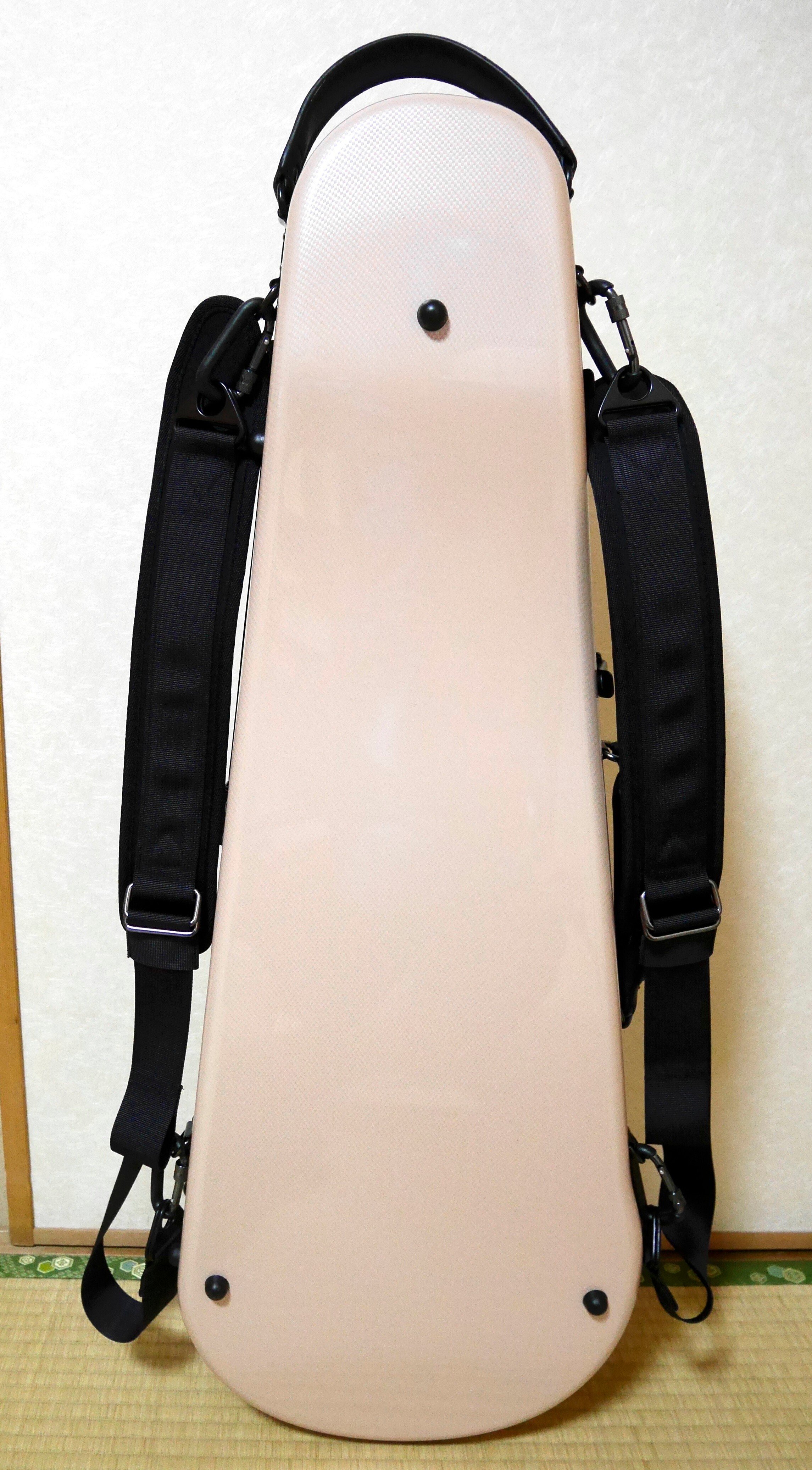 ビオラケースも購入したよ｜Ralatalk