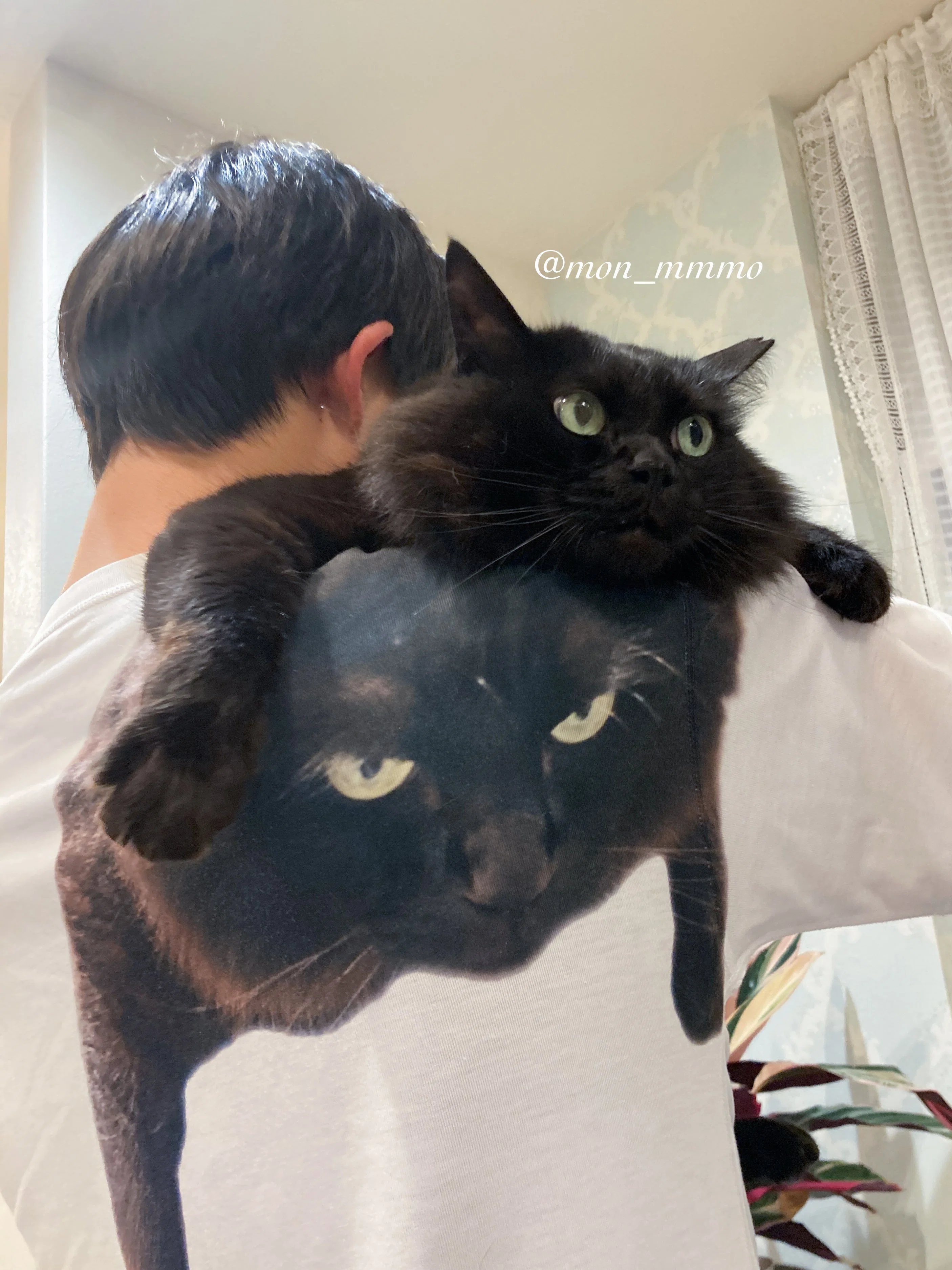 完全に一致】猫のプリントTシャツを着たご主人に背負われる黒猫ちゃん