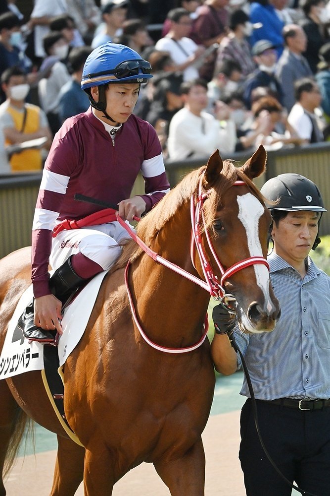 【激安】半額以下- 50%OFFの安い通販 □現地的中単勝馬券【アドマイヤベガ】ラジオたんぱ杯3歳S 終了したレースの馬券