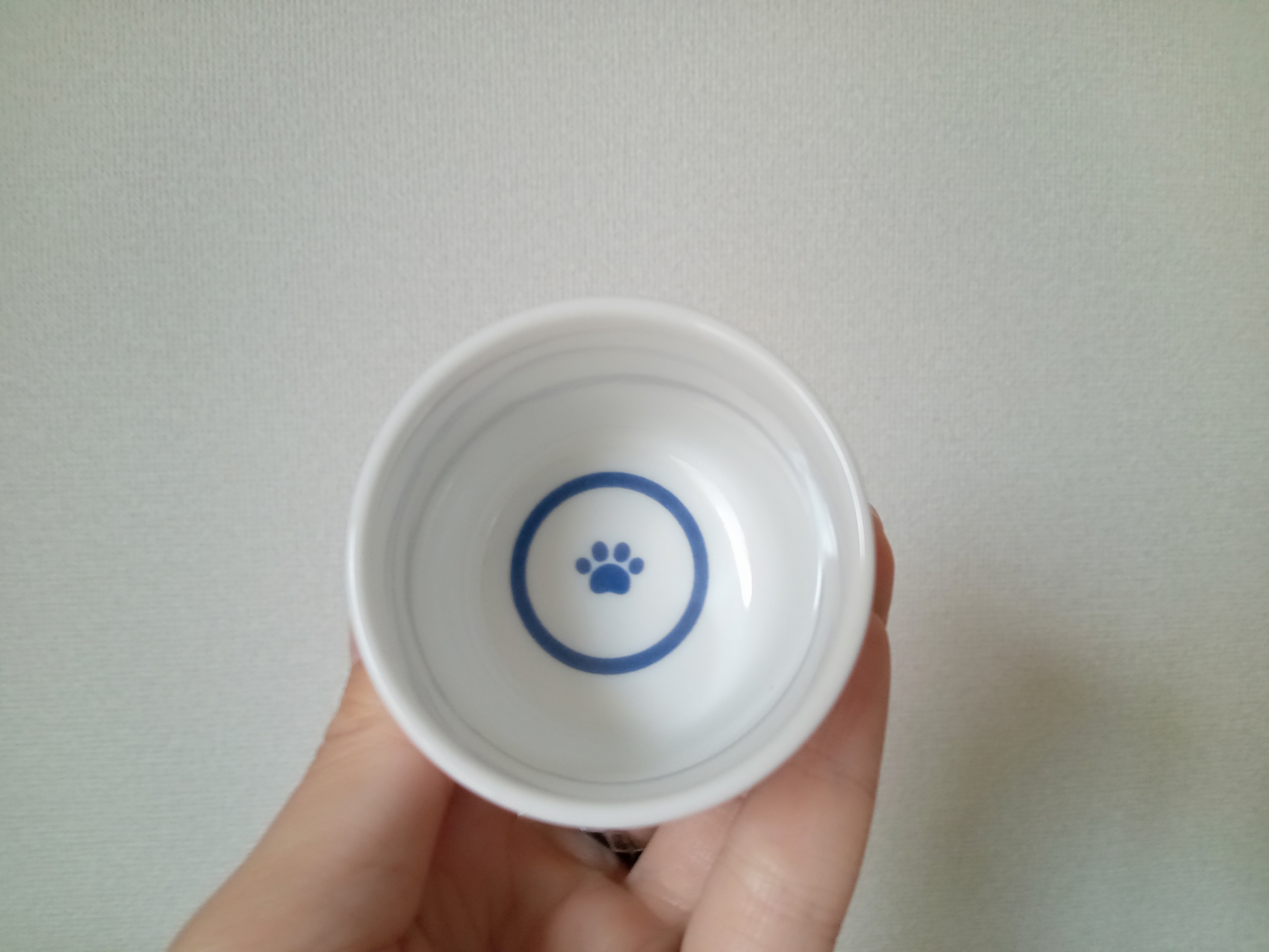 下戸なのに酒器ばかりある｜鴻池サキノ
