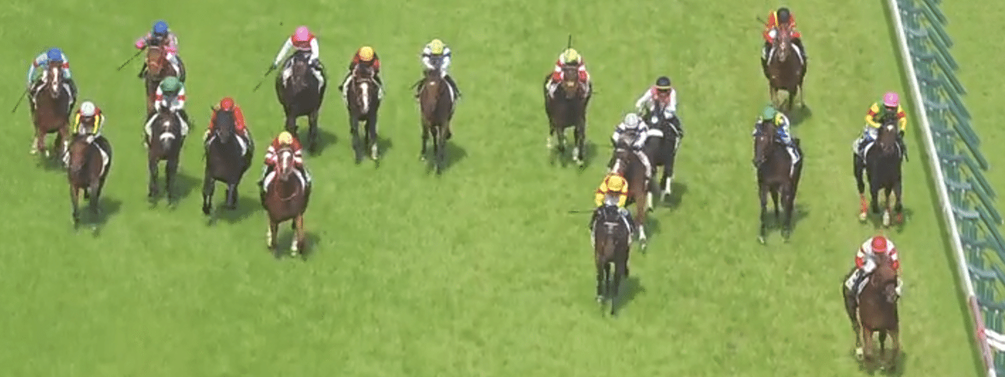 日本ダービー　東京競馬場　ダノンデザイル 競馬］ダノンデザイル（2024年日本ダービー）ミニゼッケン／JRA