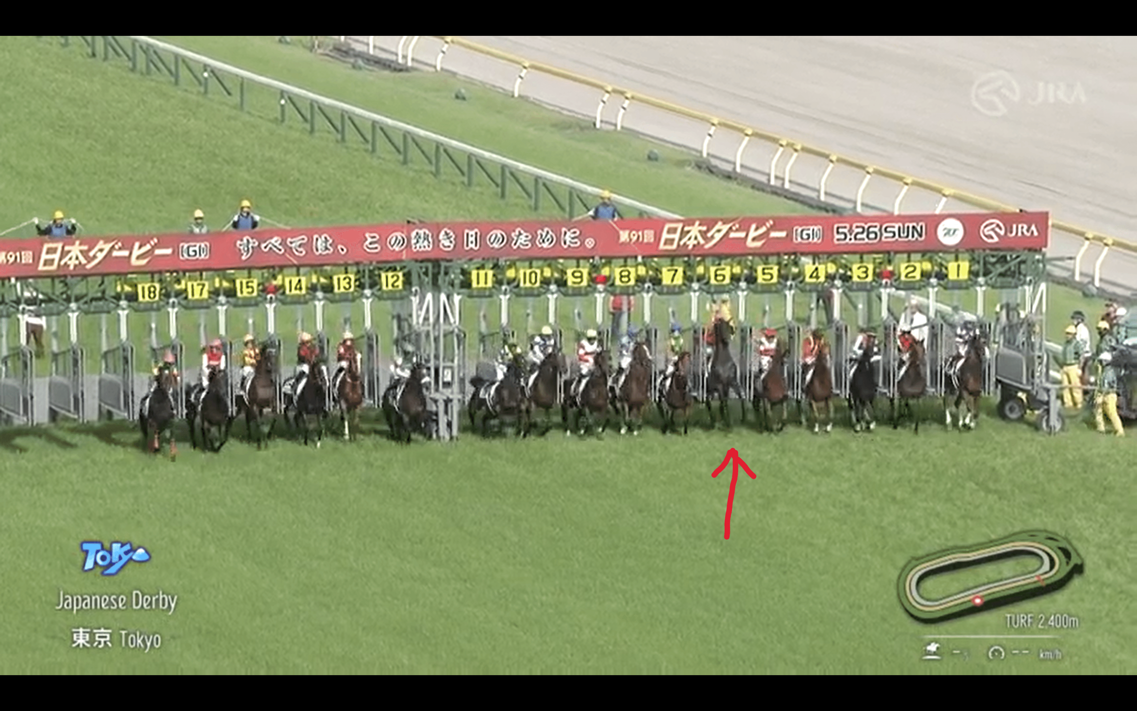 24年日本ダービーを振り返る～運を引き寄せたリアル・競馬場の達人の