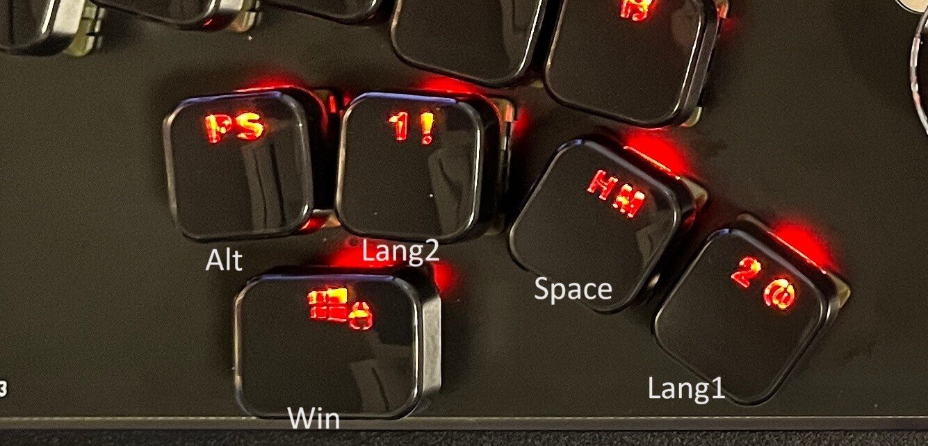 Shoebill43TGについて｜twoboy