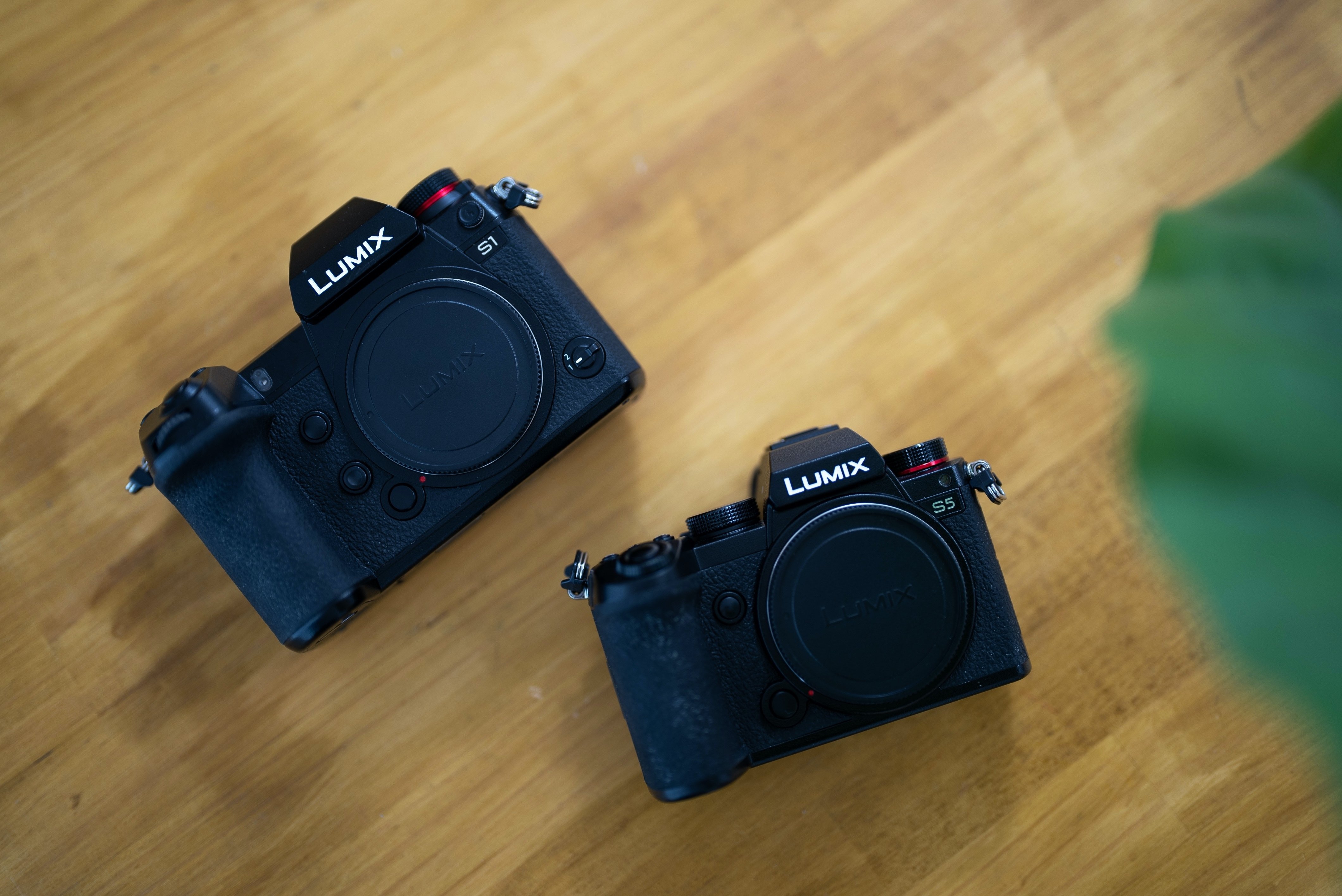 Panasonic LUMIX S9　美品 パナソニック、「LUMIX S9」に新色キャメルオレンジと18-40mm