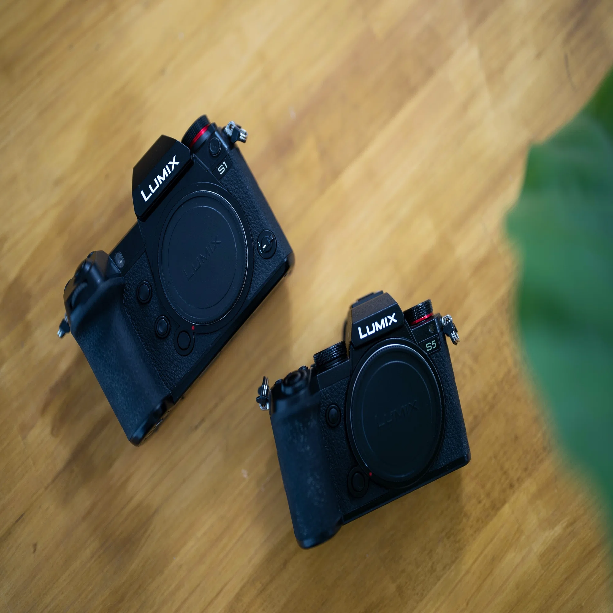 Panasonic LUMIX S9 予約しました｜I