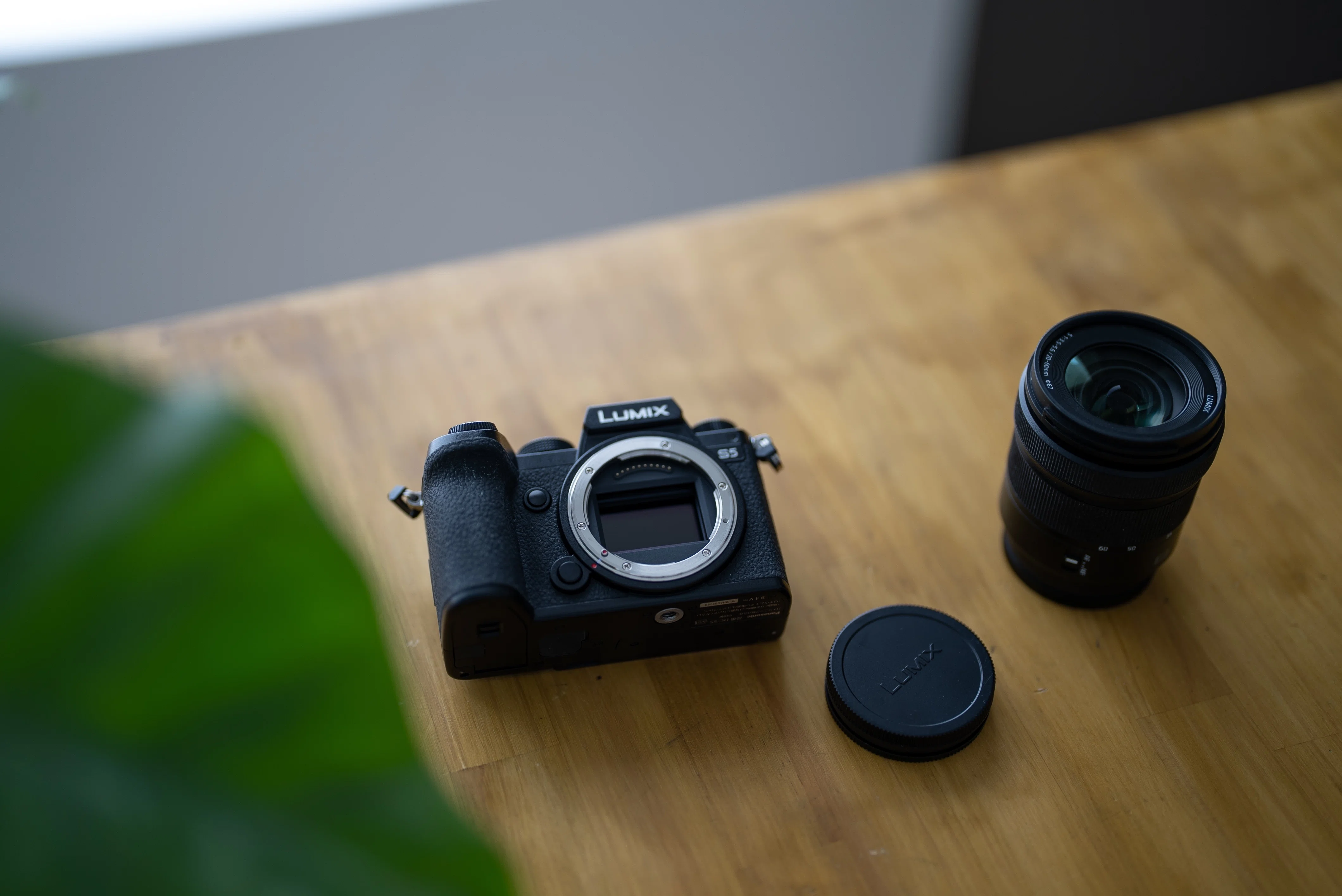 Panasonic LUMIX S9 予約しました｜I'm a graphic designer