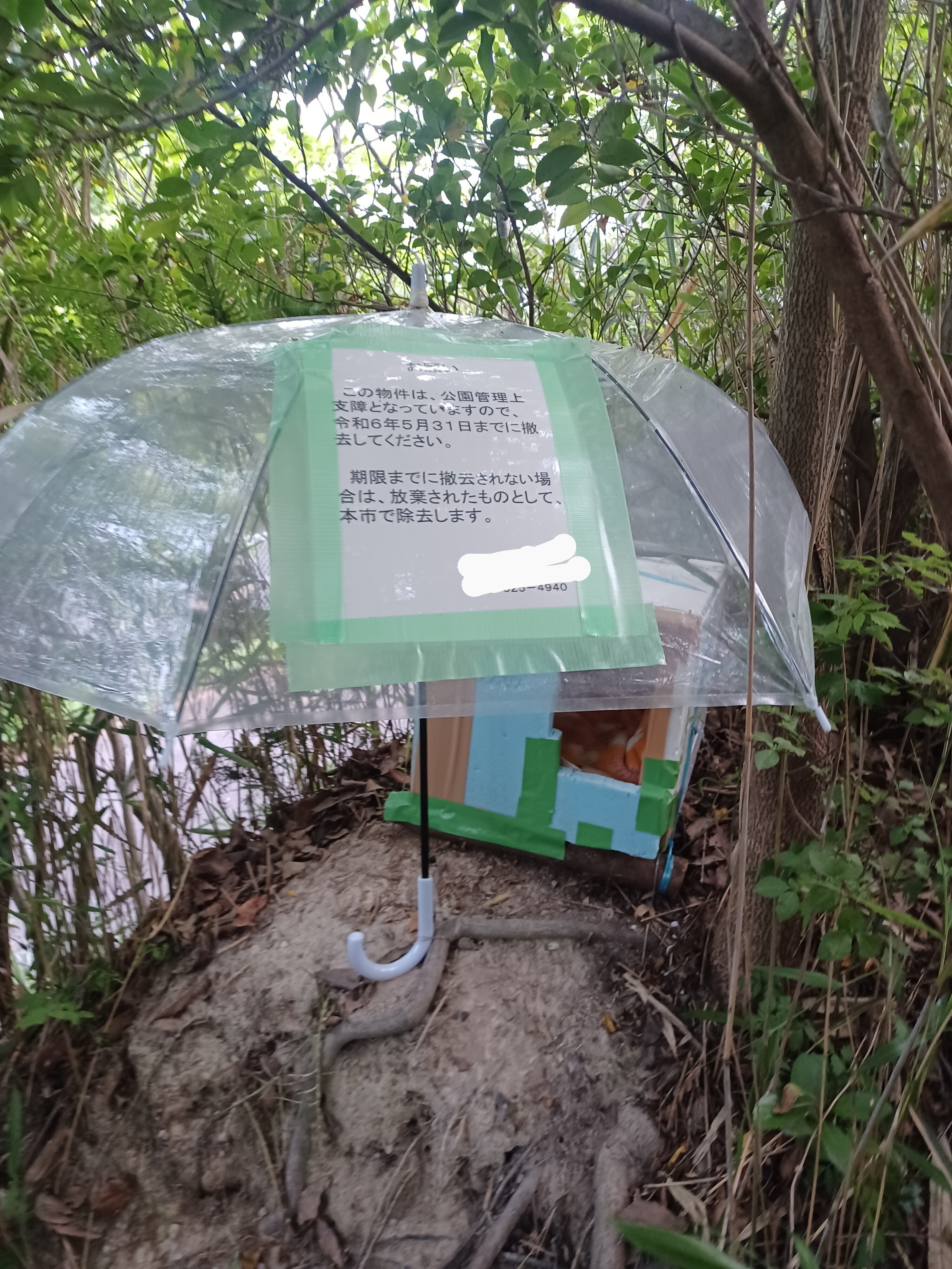 公園で、外飼い？｜soyo