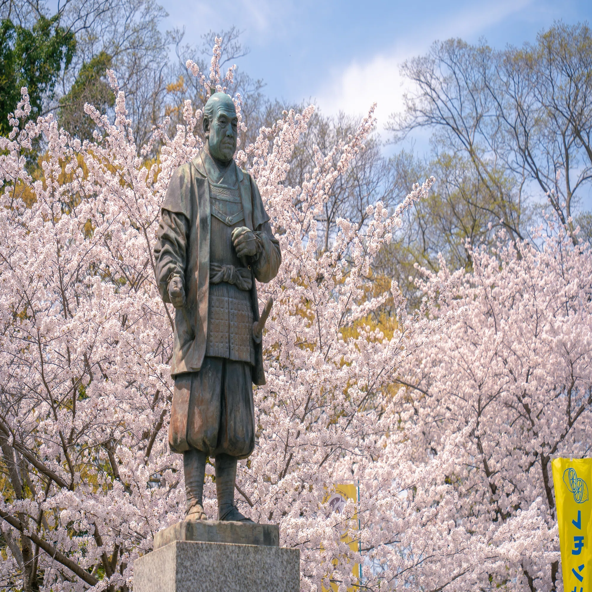 巡縁お散歩情報 上野のたぬき様のお話｜【公式】巡縁 | 御寺神社の情報 