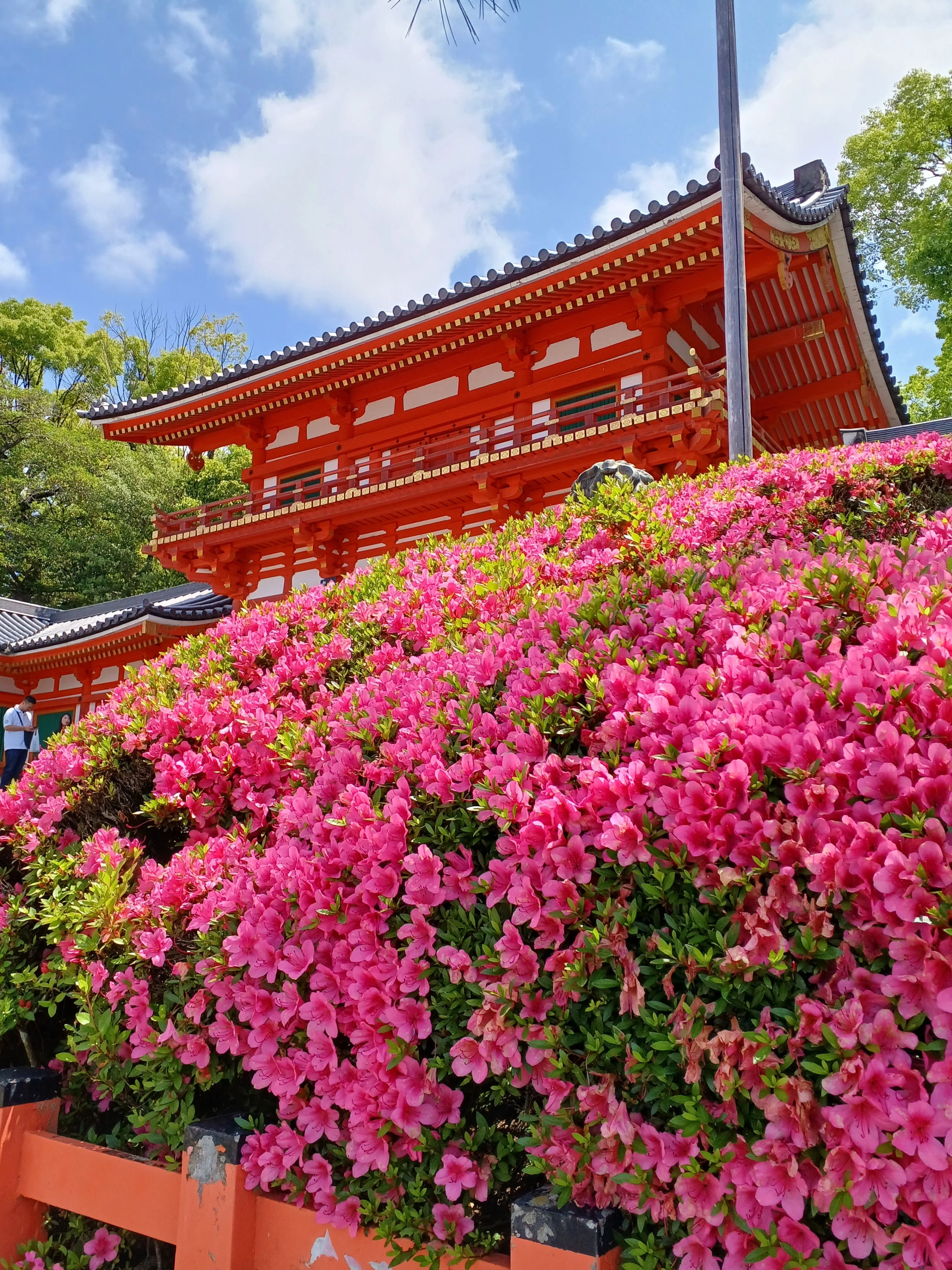 京都古寺散策 京都 京都ぶらり】古都京都お気に入りの散策コース 祇園編｜京都ぶらり