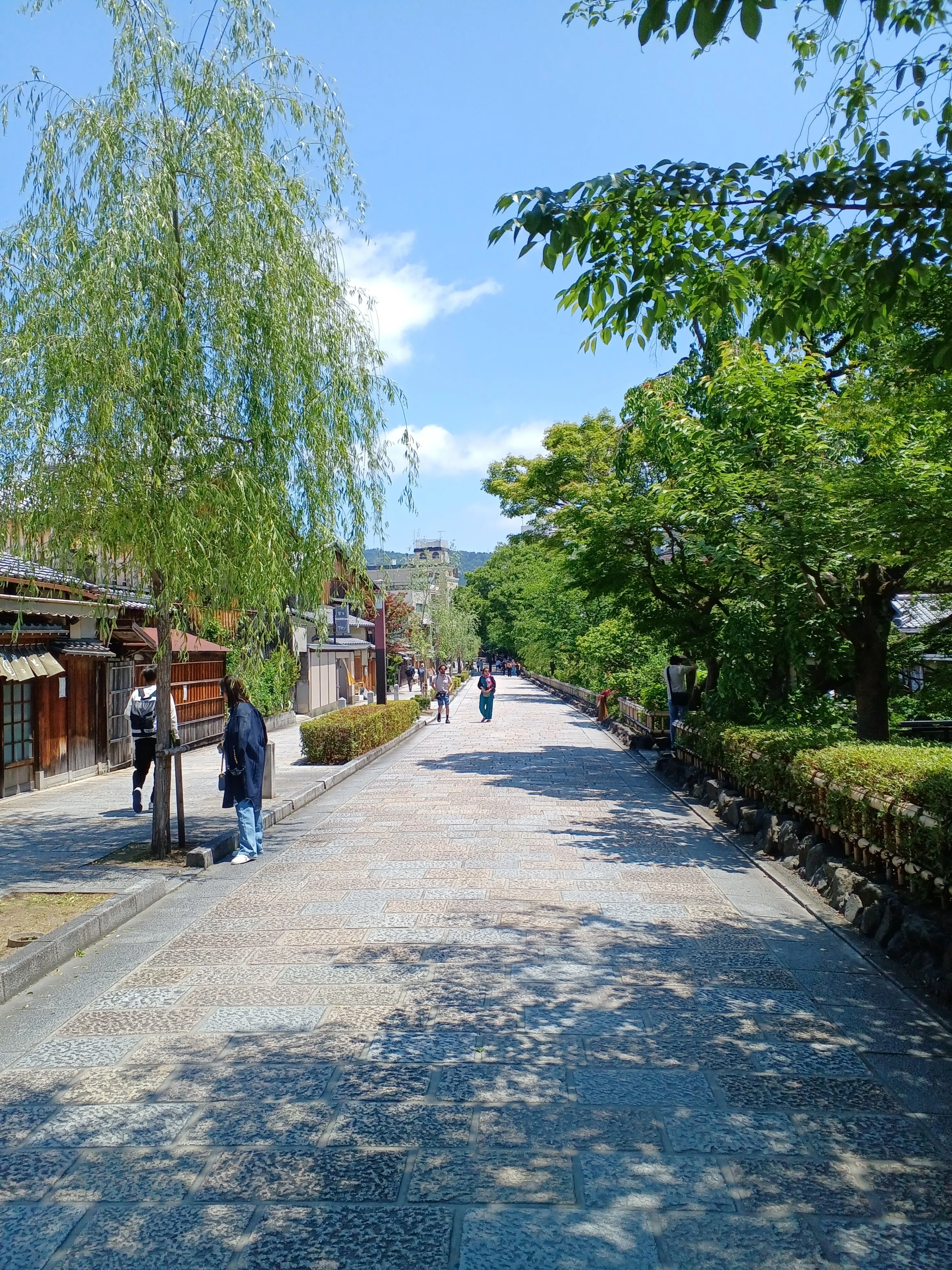 京都ぶらり】古都京都お気に入りの散策コース 祇園編｜京都ぶらり