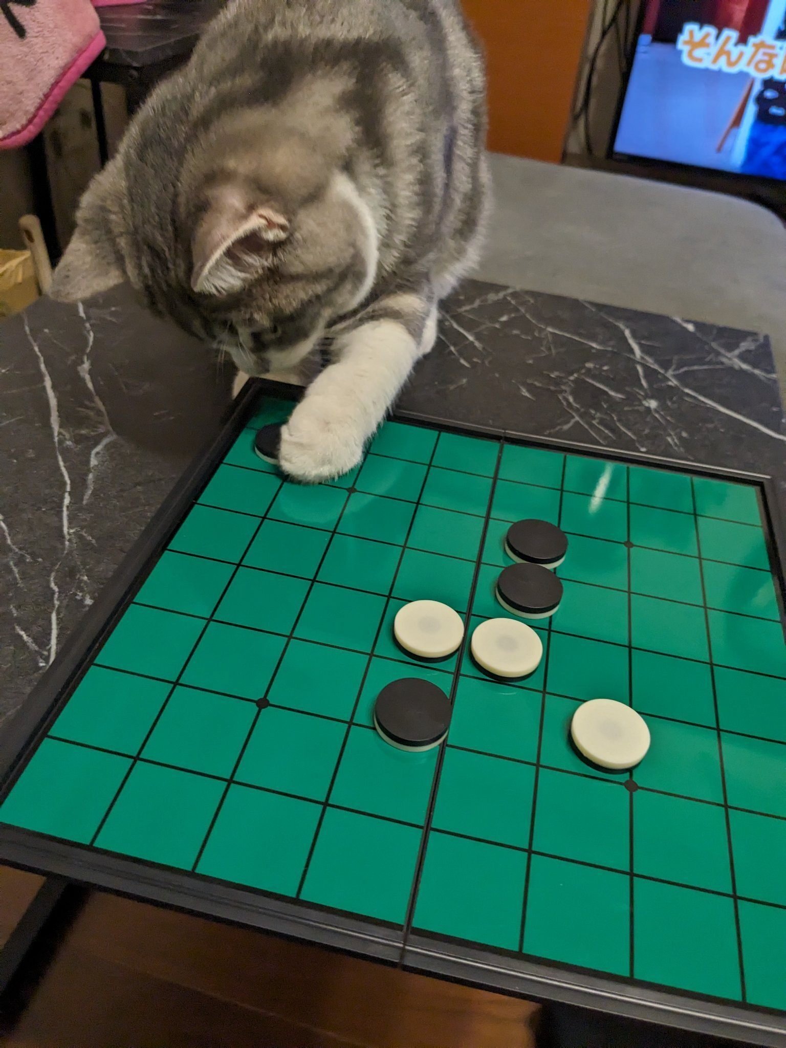 そこには置けません」オセロの石で遊び始めた猫ちゃん、いきなり隅を