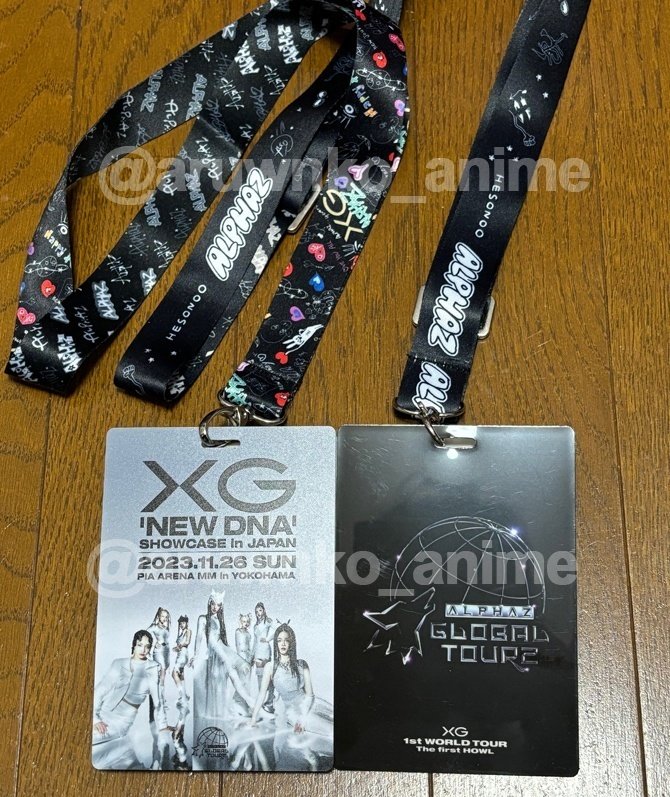 XG グローバルパッケージ VVIP グッズ 8点セット （XGのライブに行き  