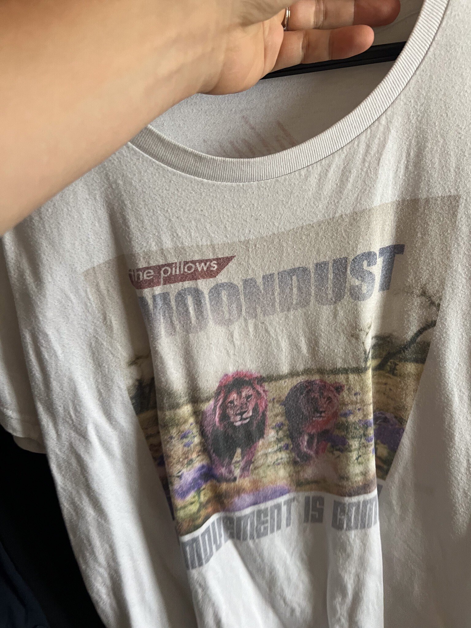 家にあるピロウズTシャツ全部数える｜持ち主