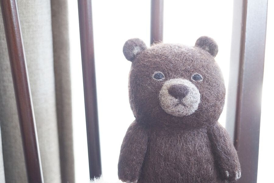 くま写真館 （2024.5）｜SLEEPY SHEEP