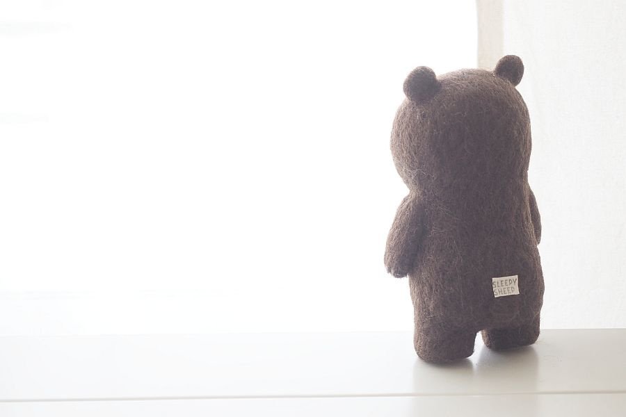 くま写真館 （2024.5）｜SLEEPY SHEEP