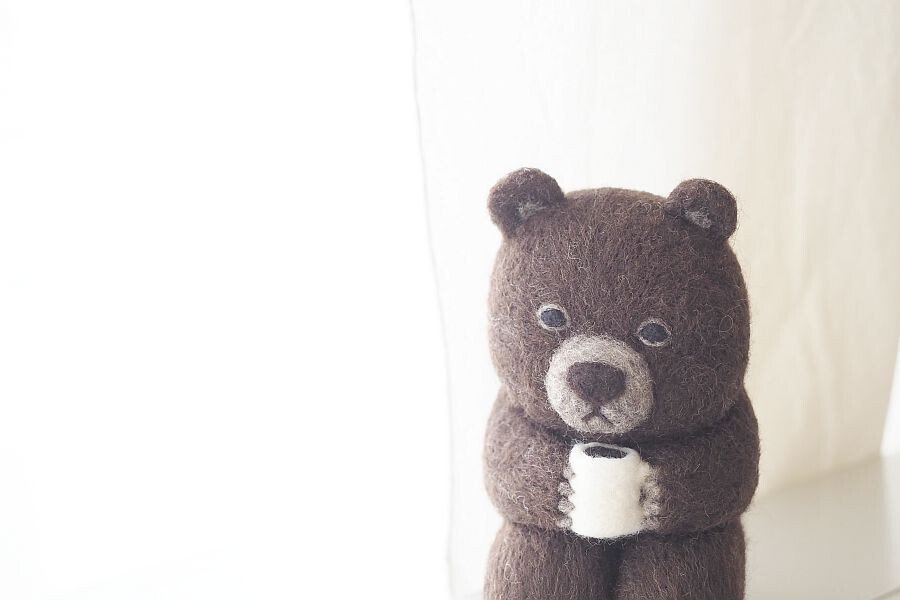 くま写真館 （2024.5）｜SLEEPY SHEEP