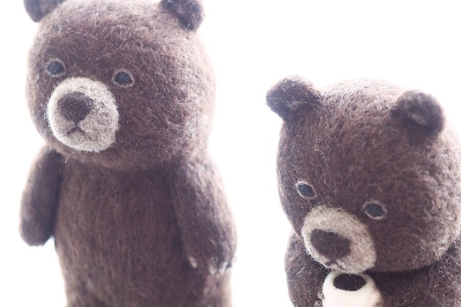 くま写真館 （2024.5）｜SLEEPY SHEEP