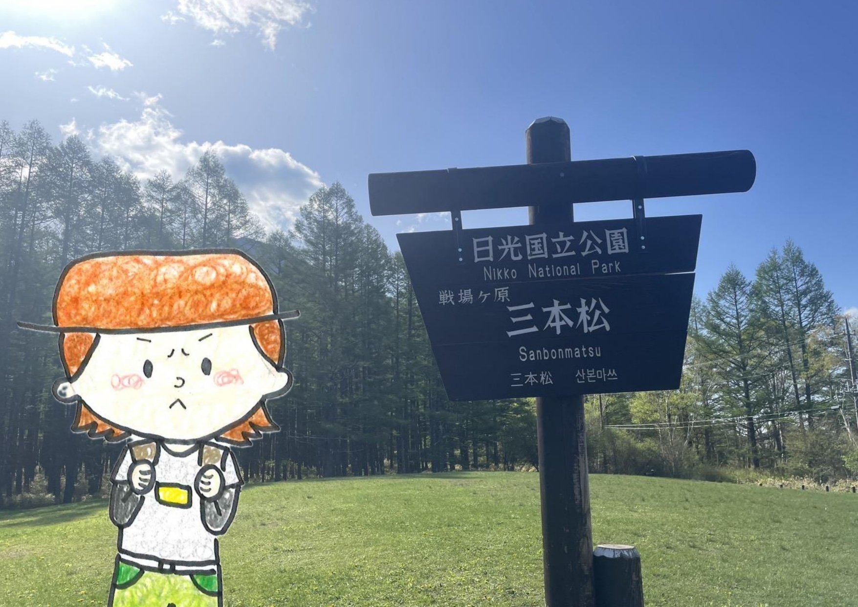 日光さんぽDay3】戦場ヶ原をハイキング！！｜葛飾区立日光林間学園