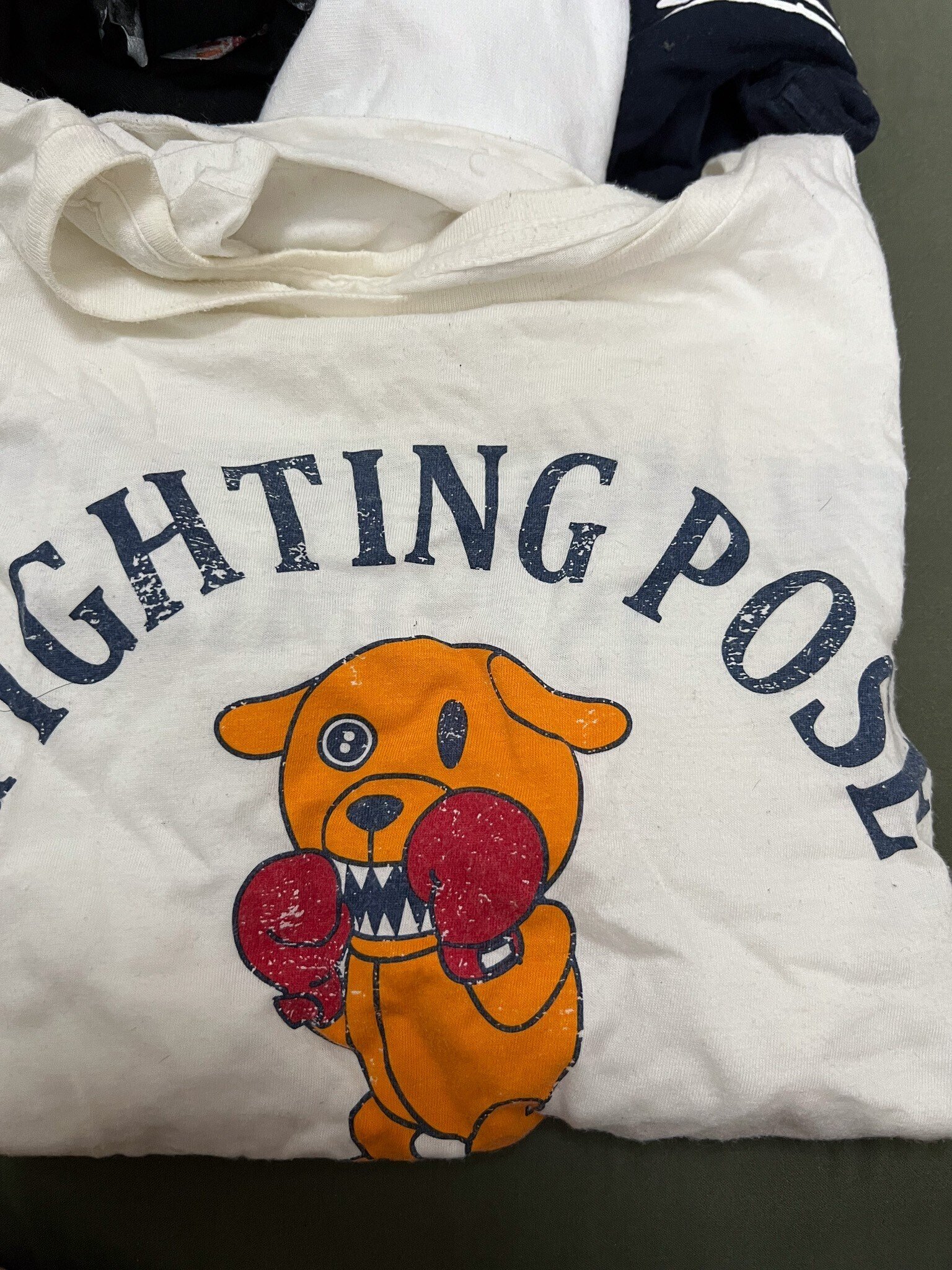 家にあるピロウズTシャツ全部数える｜持ち主