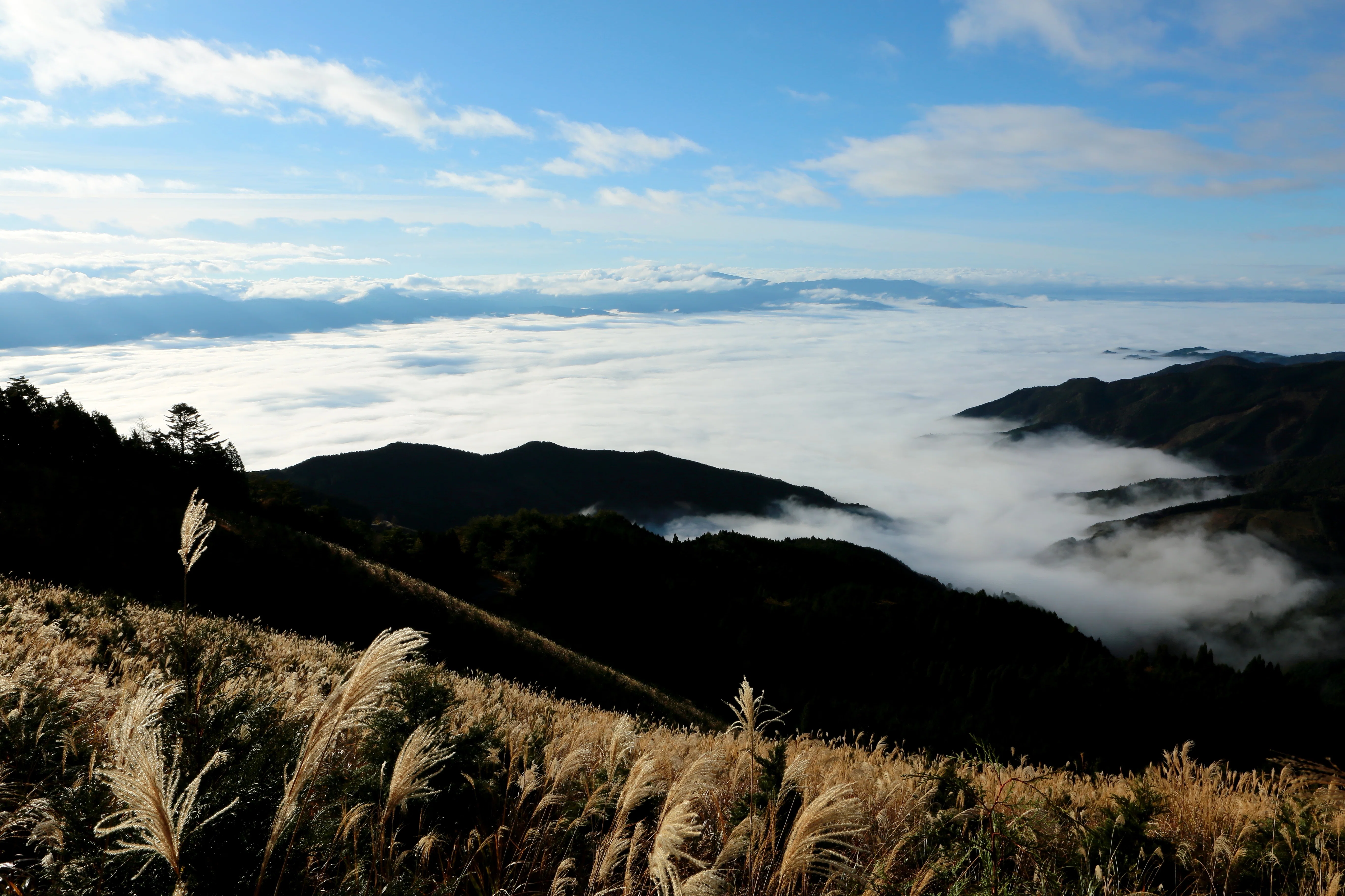 アポロ峠 雲海（2019年11月23日記）｜風景写真 四季の山旅