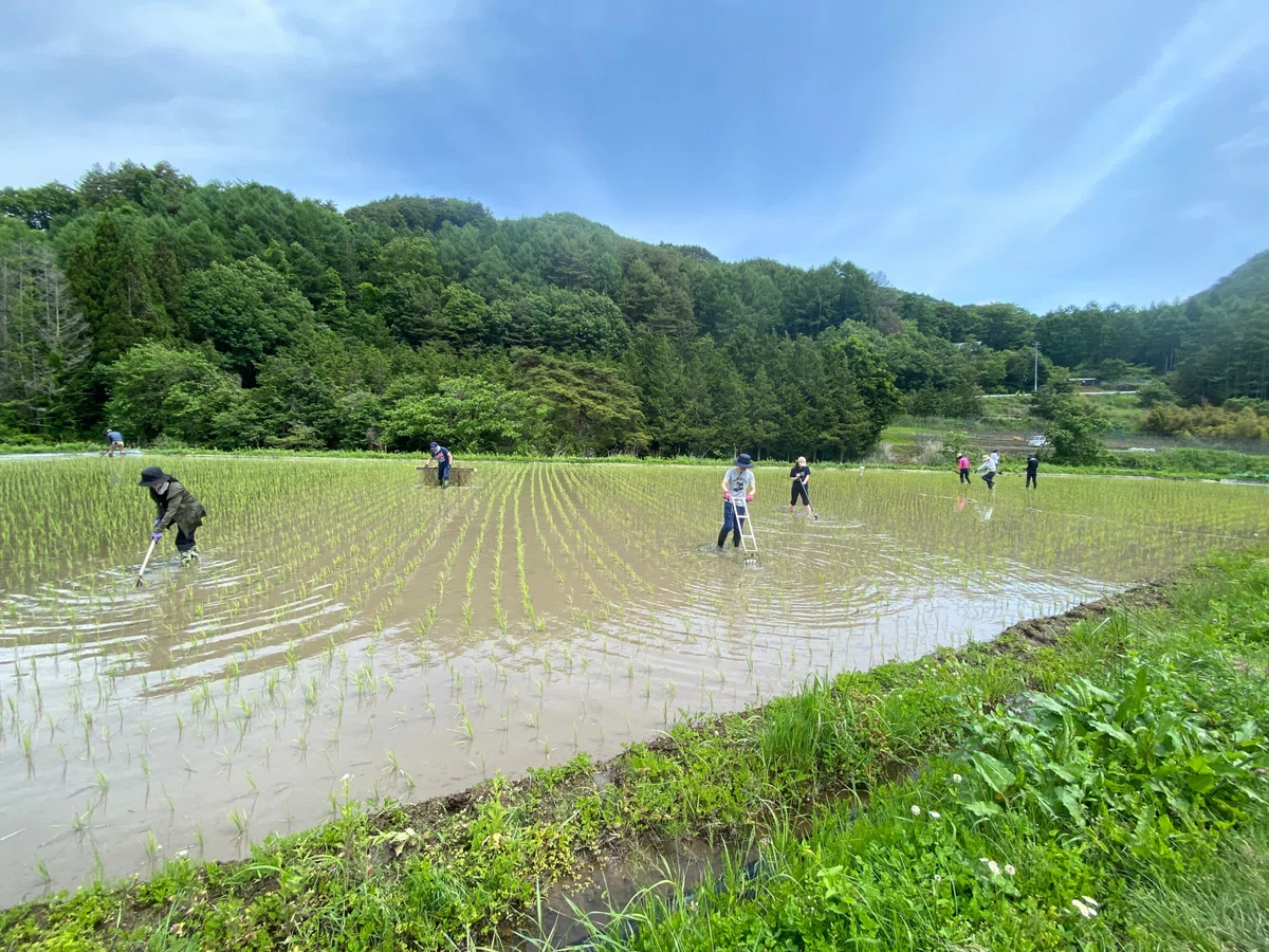休耕地を「再墾」して、未来のフードスケープを拓く|Masaki Sakamoto