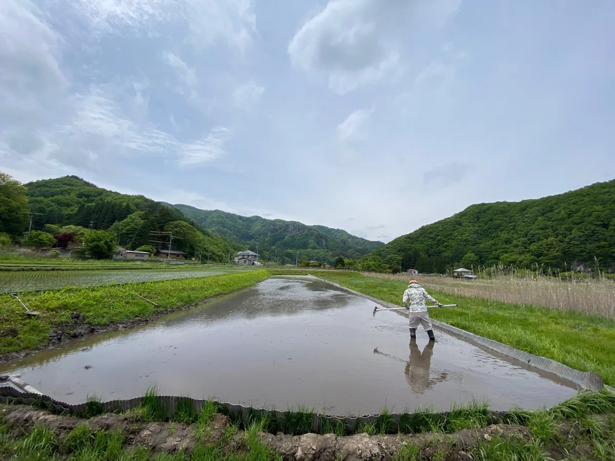 休耕地を「再墾」して、未来のフードスケープを拓く|Masaki Sakamoto