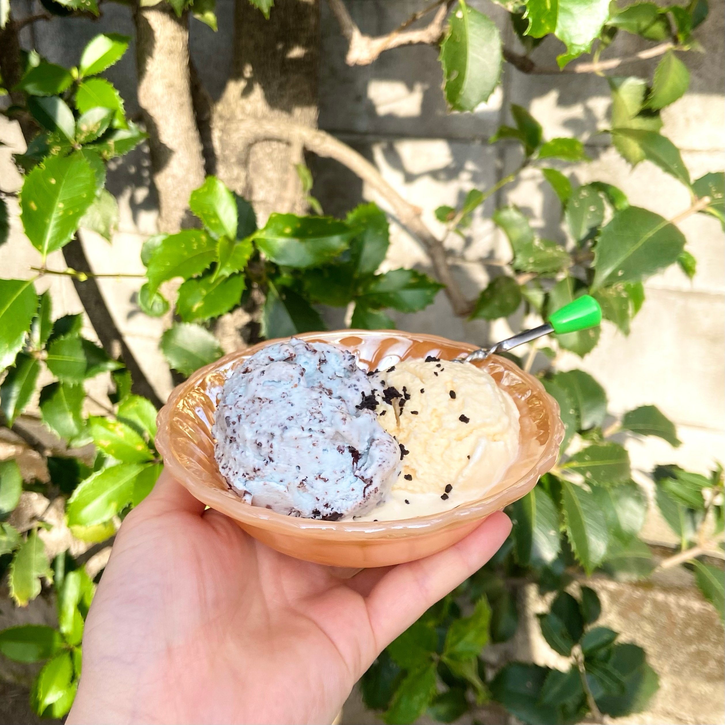 Favorite method #11 ｜ ピーチラスターのシェルボウル ｜ TAKAHASHI