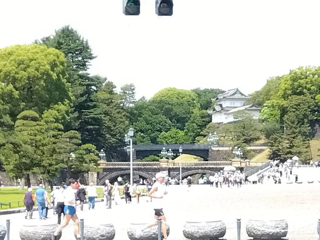 走ってきた 流した汗はビールで取り返す|かけもち